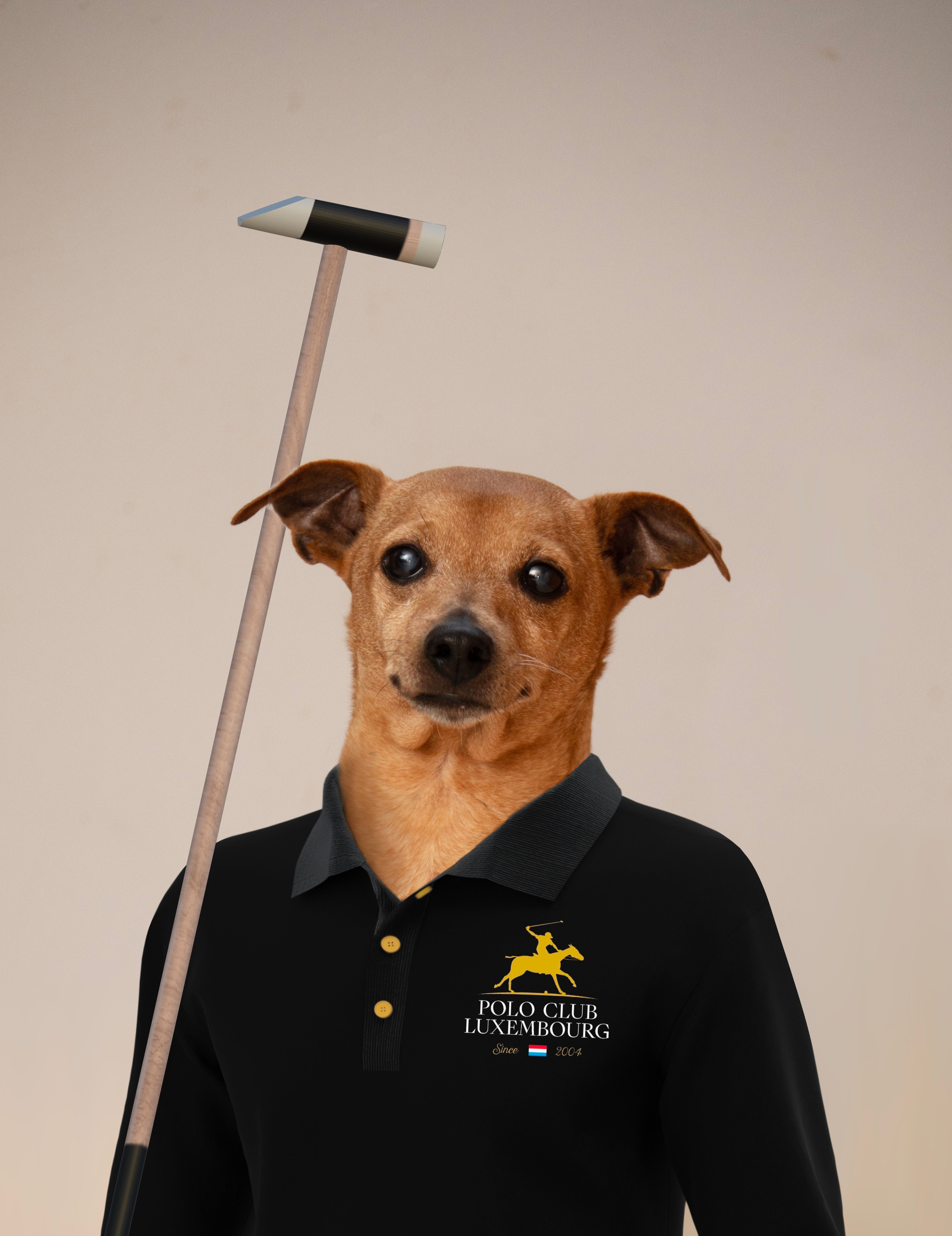 Limited art prints. Photographer in Luxembourg Tanita