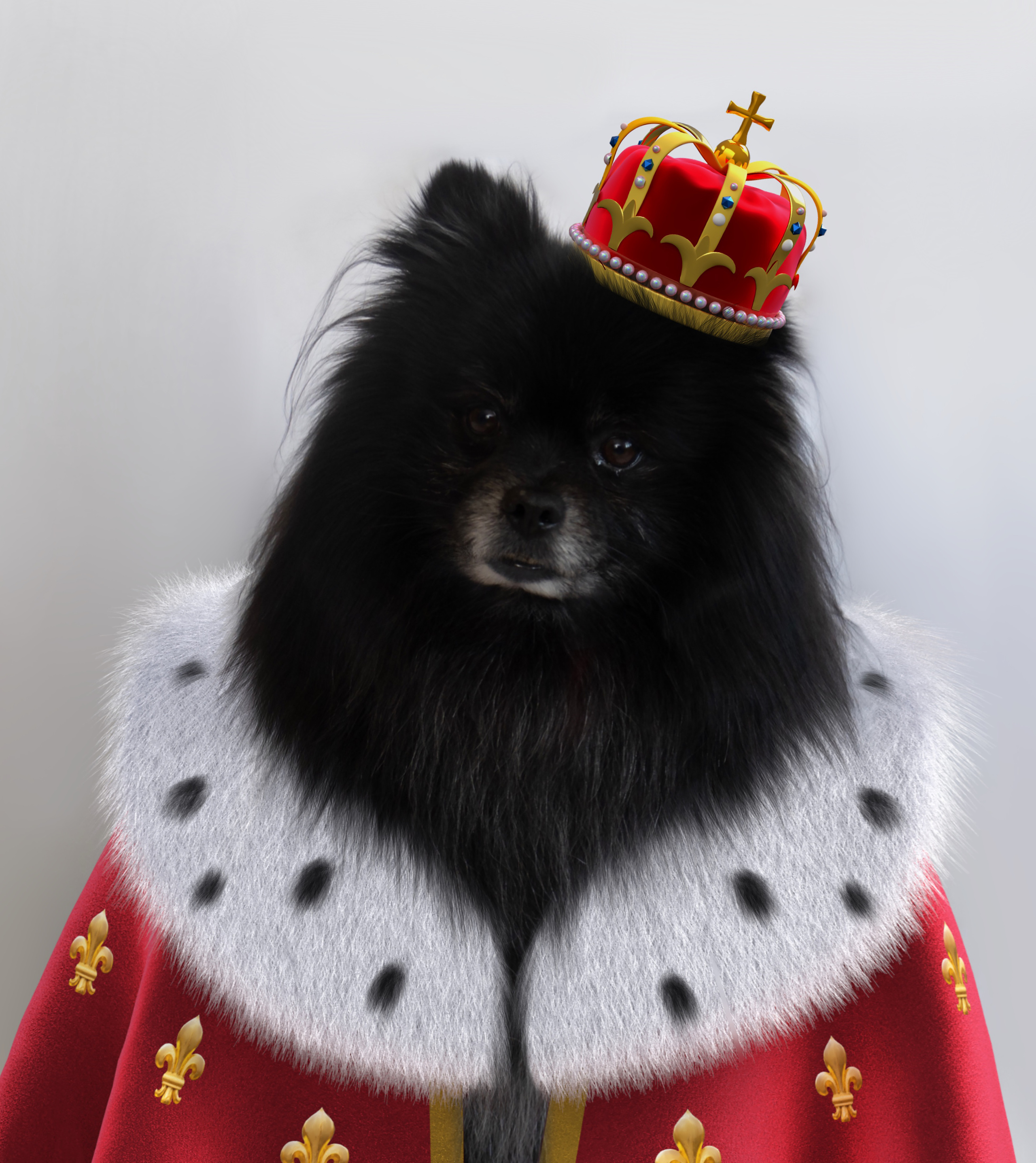 Limited art prints. Photographer in Luxembourg Tanita