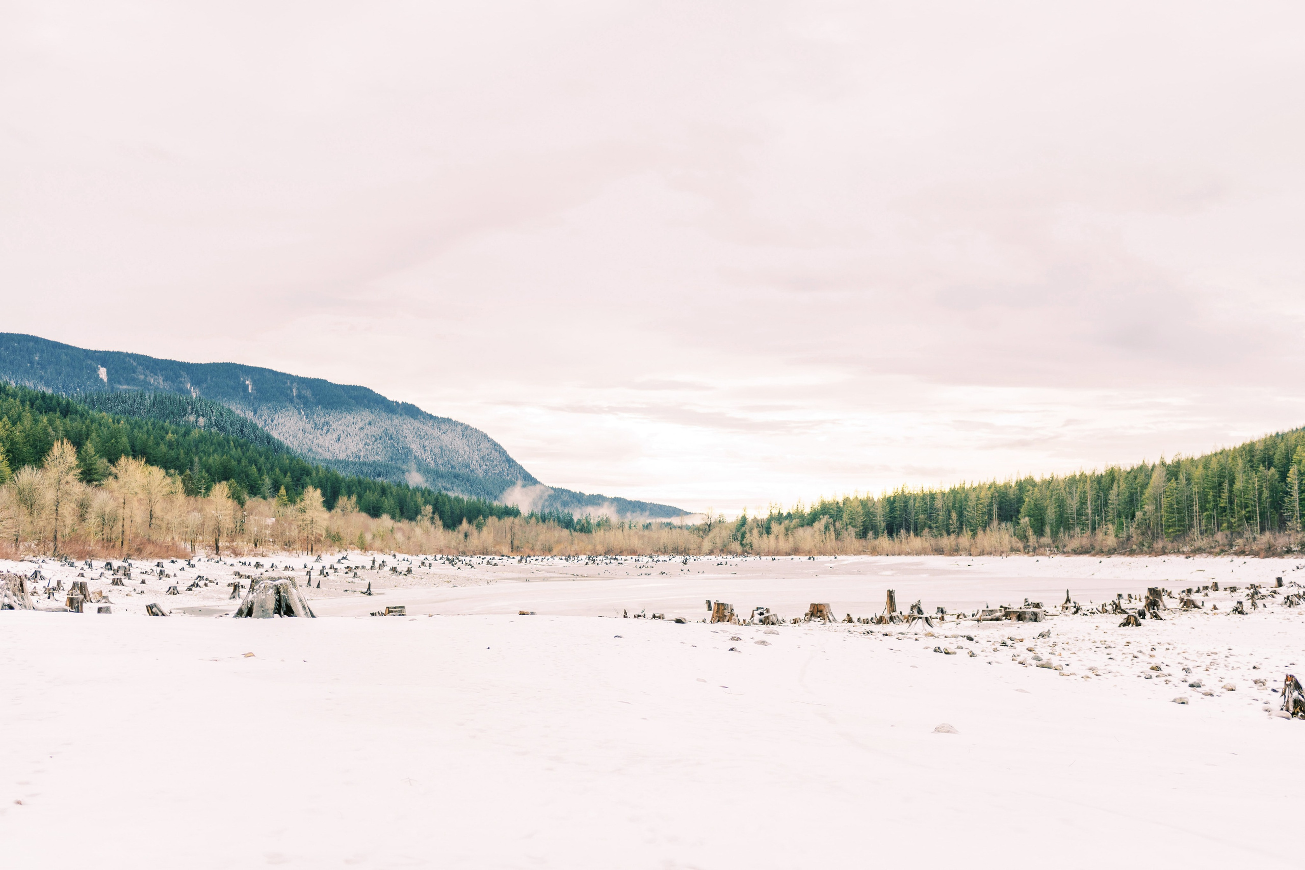 Irina & Bogdan / January 2024. Rattlesnake Lake, WA. EVAN ARISTOV WEDDING PHOTOGRAPHY — Seattle Wedding Photographer