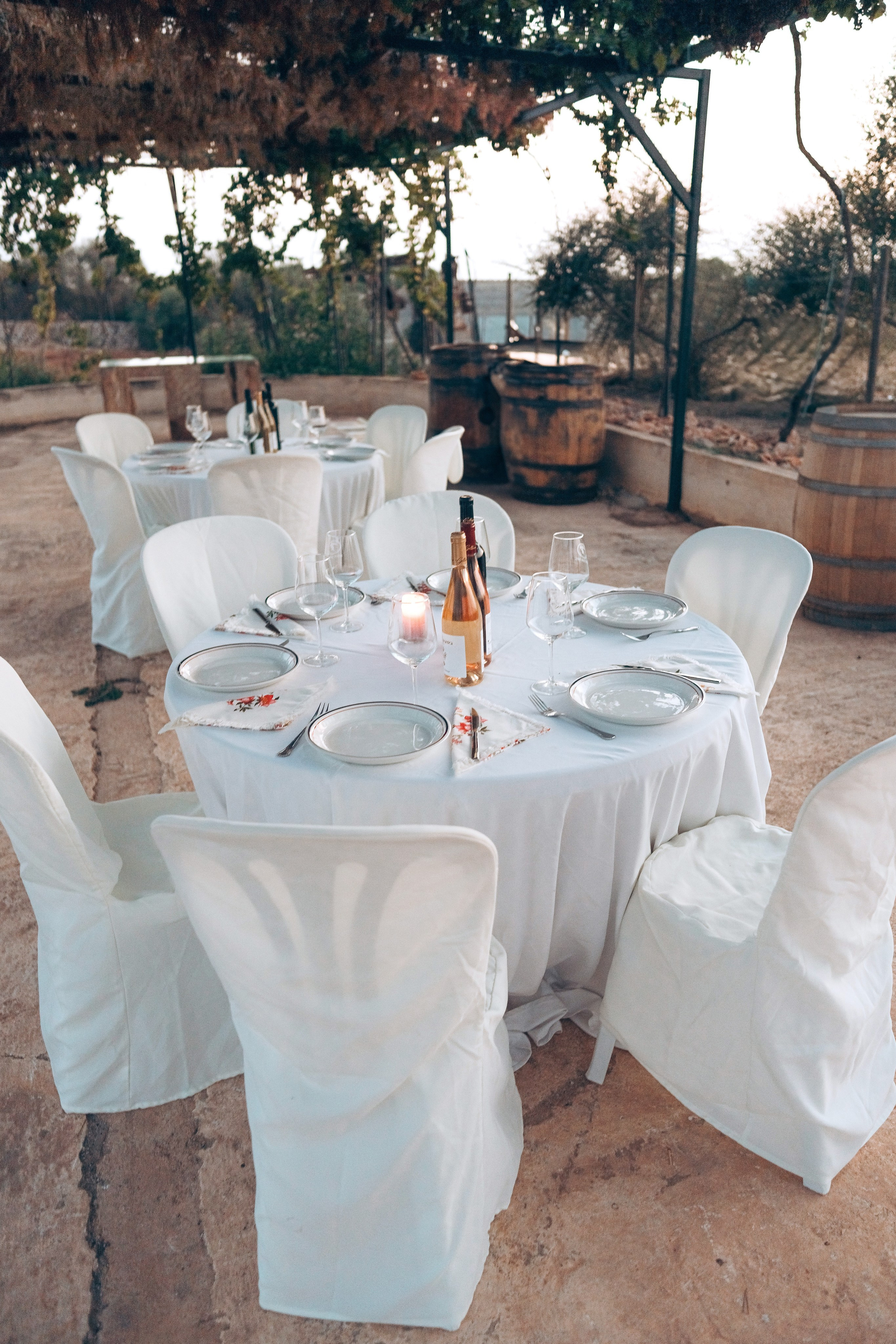 Bodega. Photographer in Mallorca