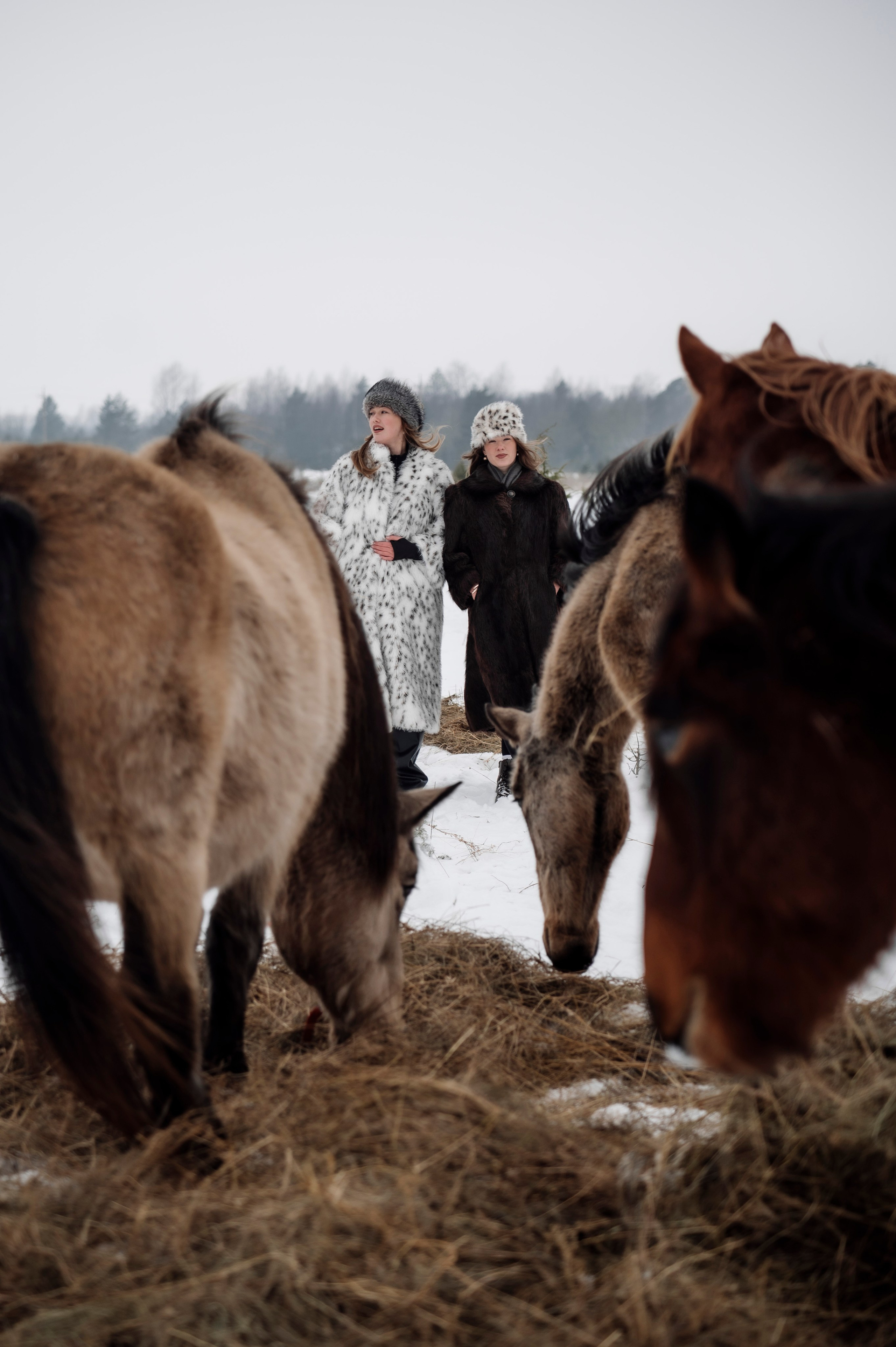 Семья/пара. Фотограф Таллинн — свадьба |семья | lovestory