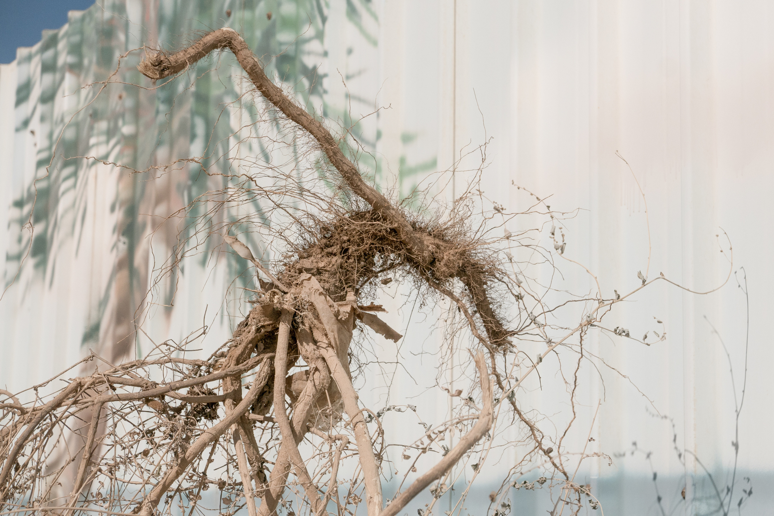 Фотопроект "Маятник" о родительском выгорании. Фотограф Анна Резников