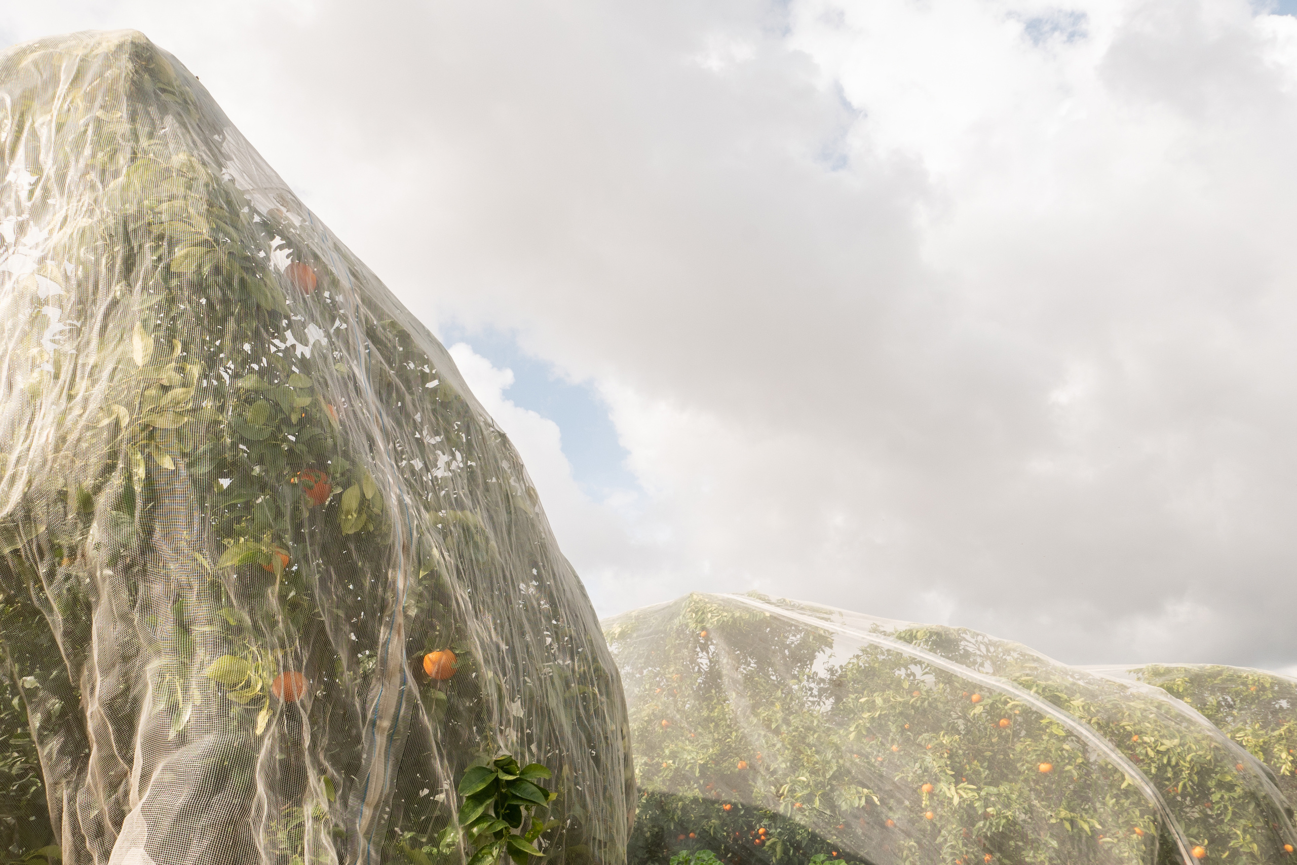 Фотопроект "Маятник" о родительском выгорании. Фотограф Анна Резников