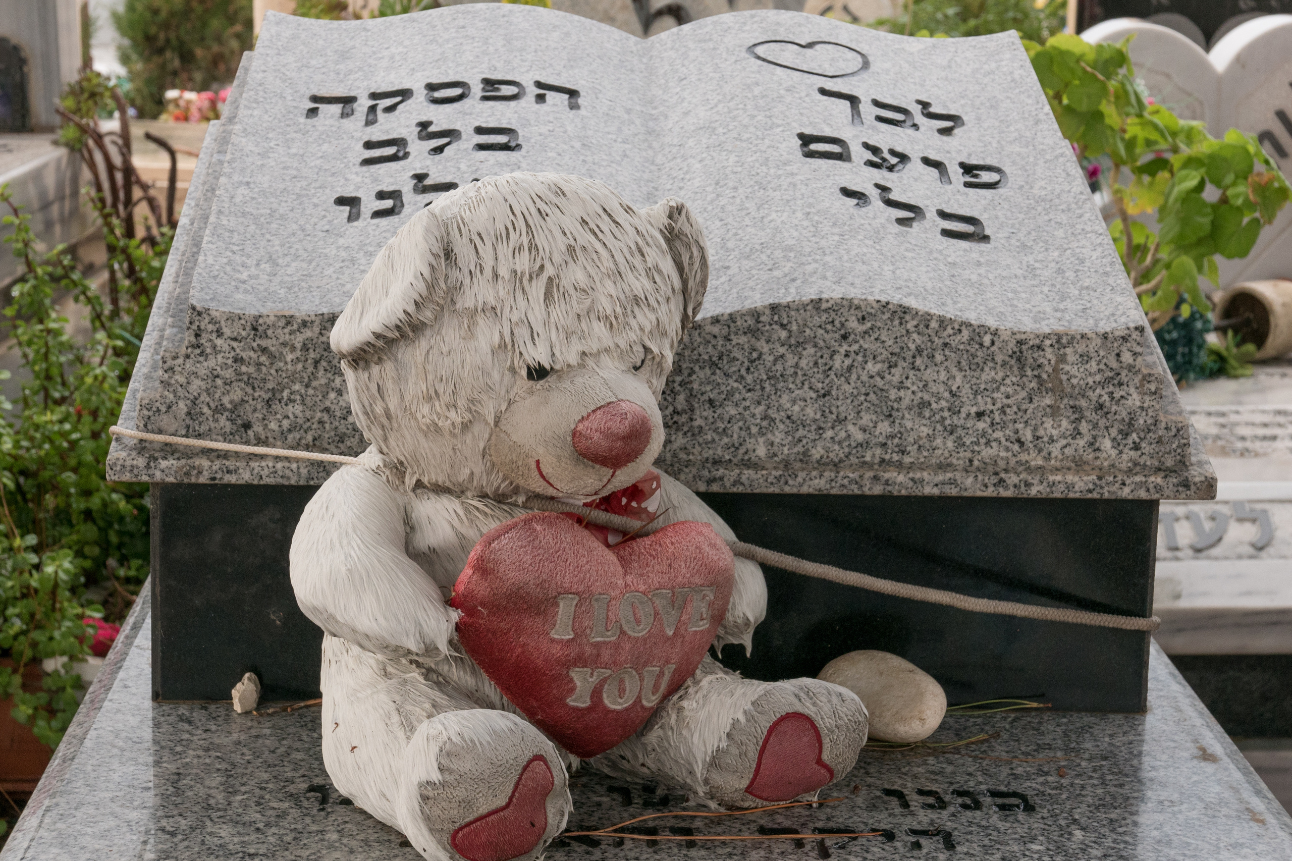 Фотопроект "Знаки памяти", посвященный сохранению памяти об умерших де. Фотограф Анна Резников