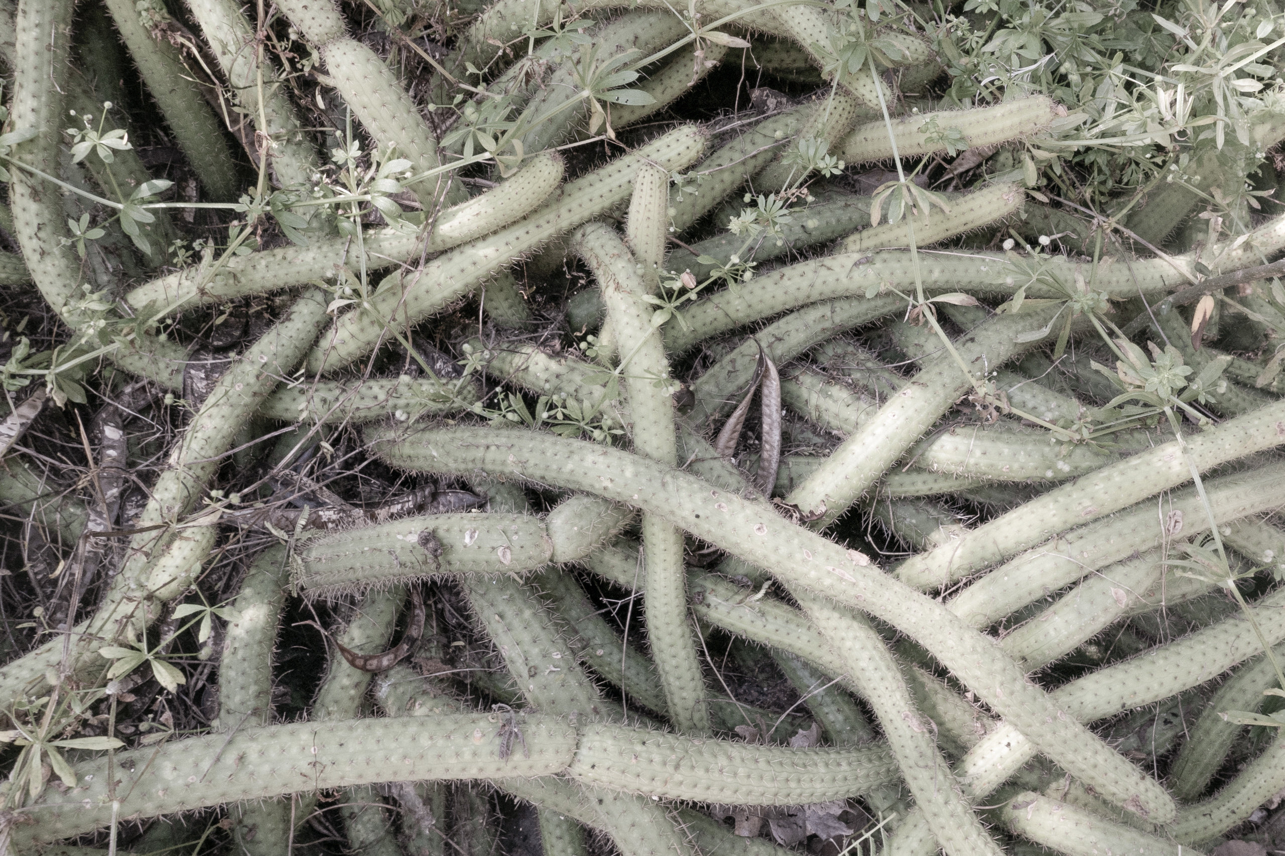 Фотопроект "Маятник" о родительском выгорании. Фотограф Анна Резников