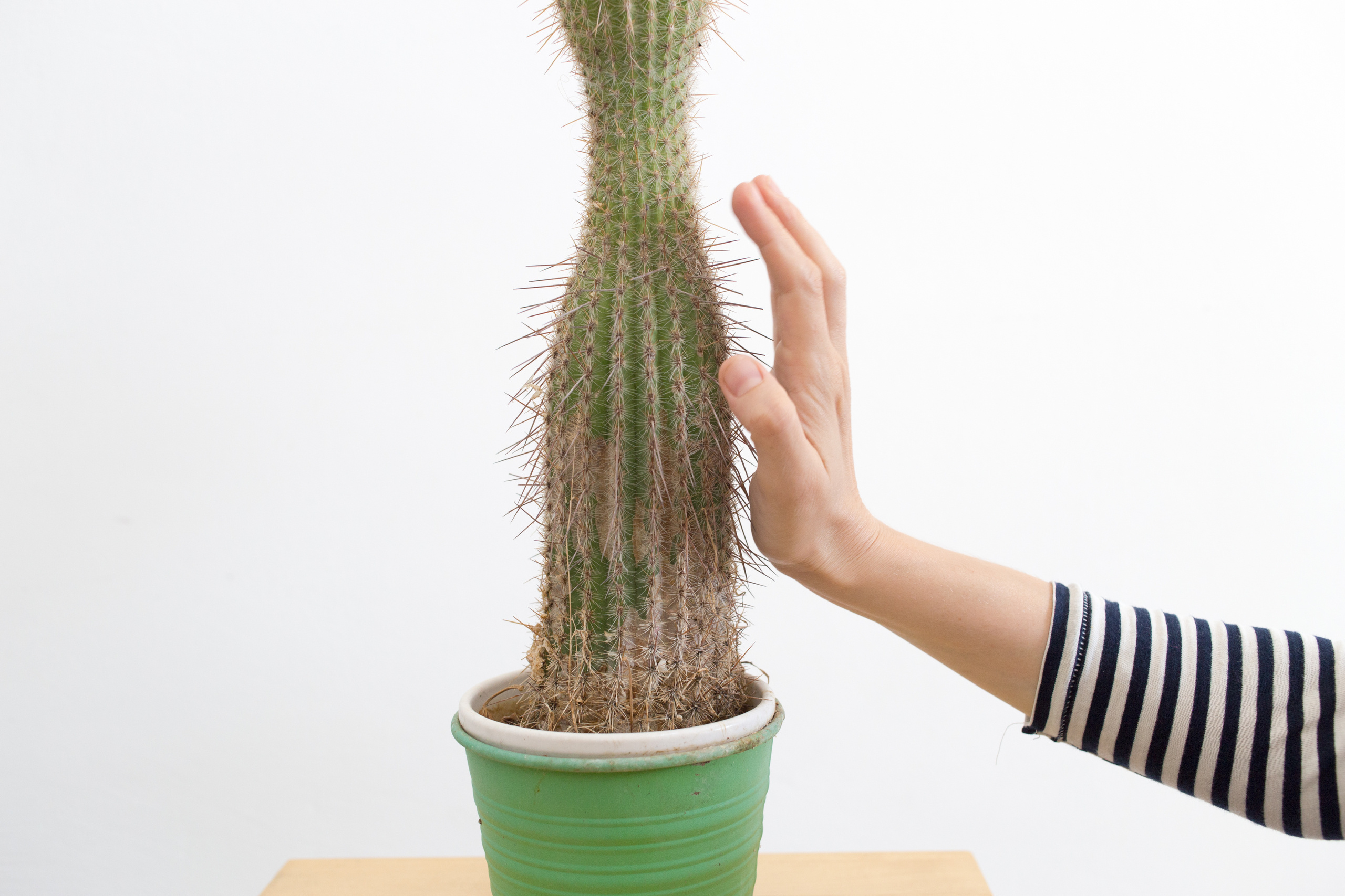 Арт-проект "В ауте". Фотограф Анна Резников