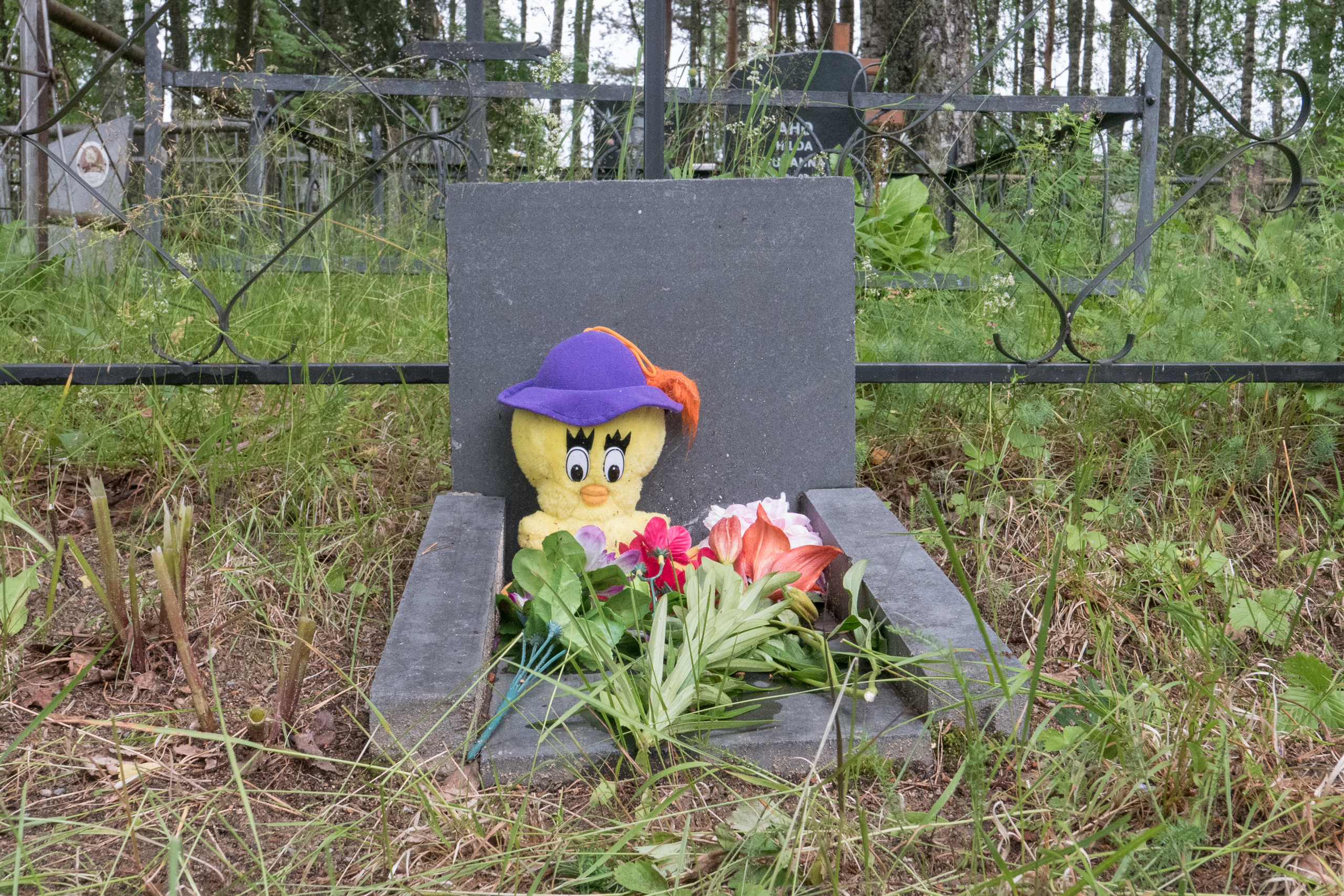 Фотопроект "Знаки памяти", посвященный сохранению памяти об умерших де. Фотограф Анна Резников