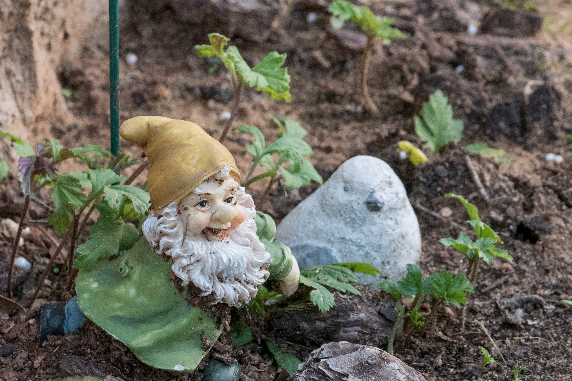 Фотопроект "Знаки памяти", посвященный сохранению памяти об умерших де. Фотограф Анна Резников