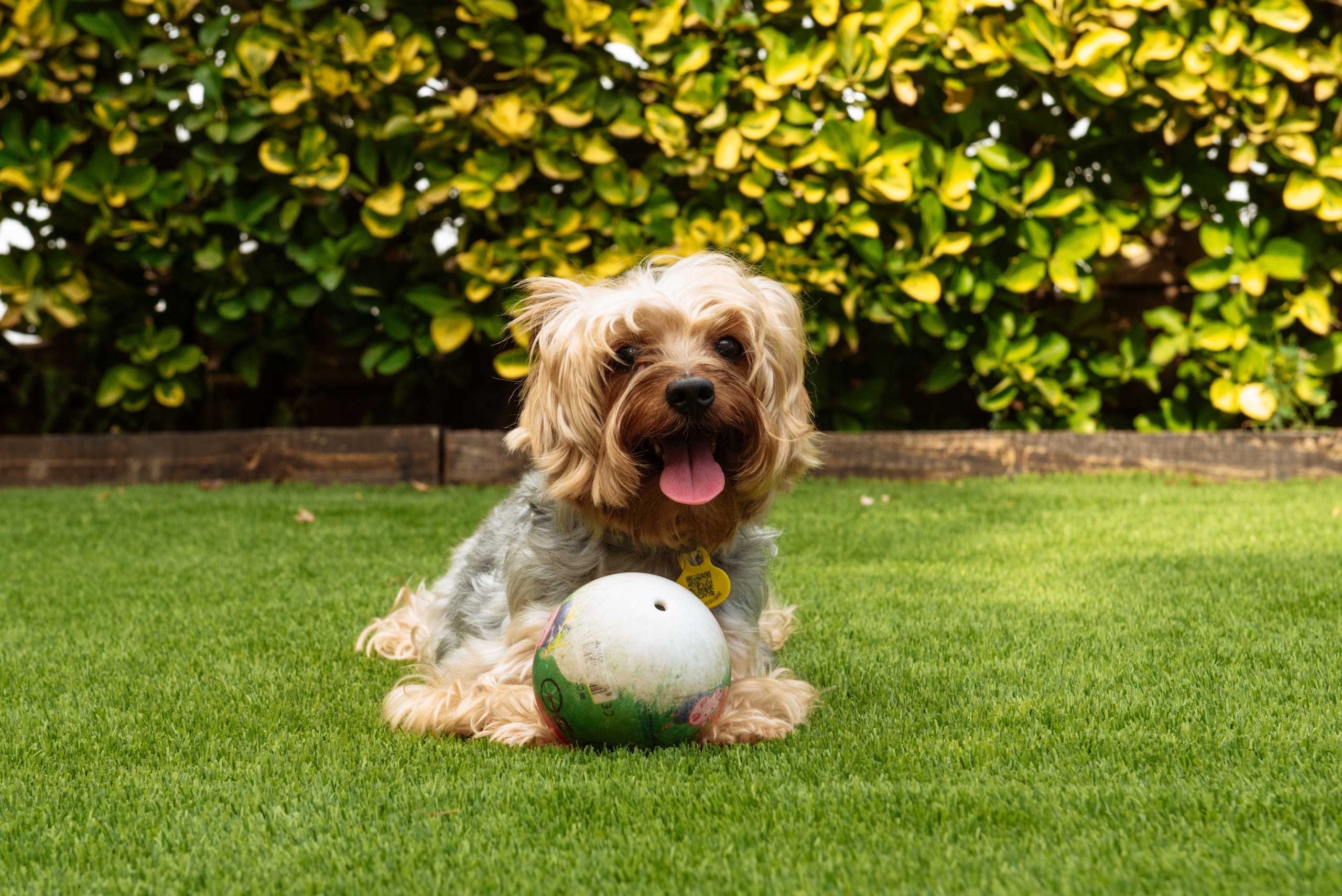 Darien Bautizo Barcelona. Фотограф Екатерина Гасанова — фотосессии в Барселоне