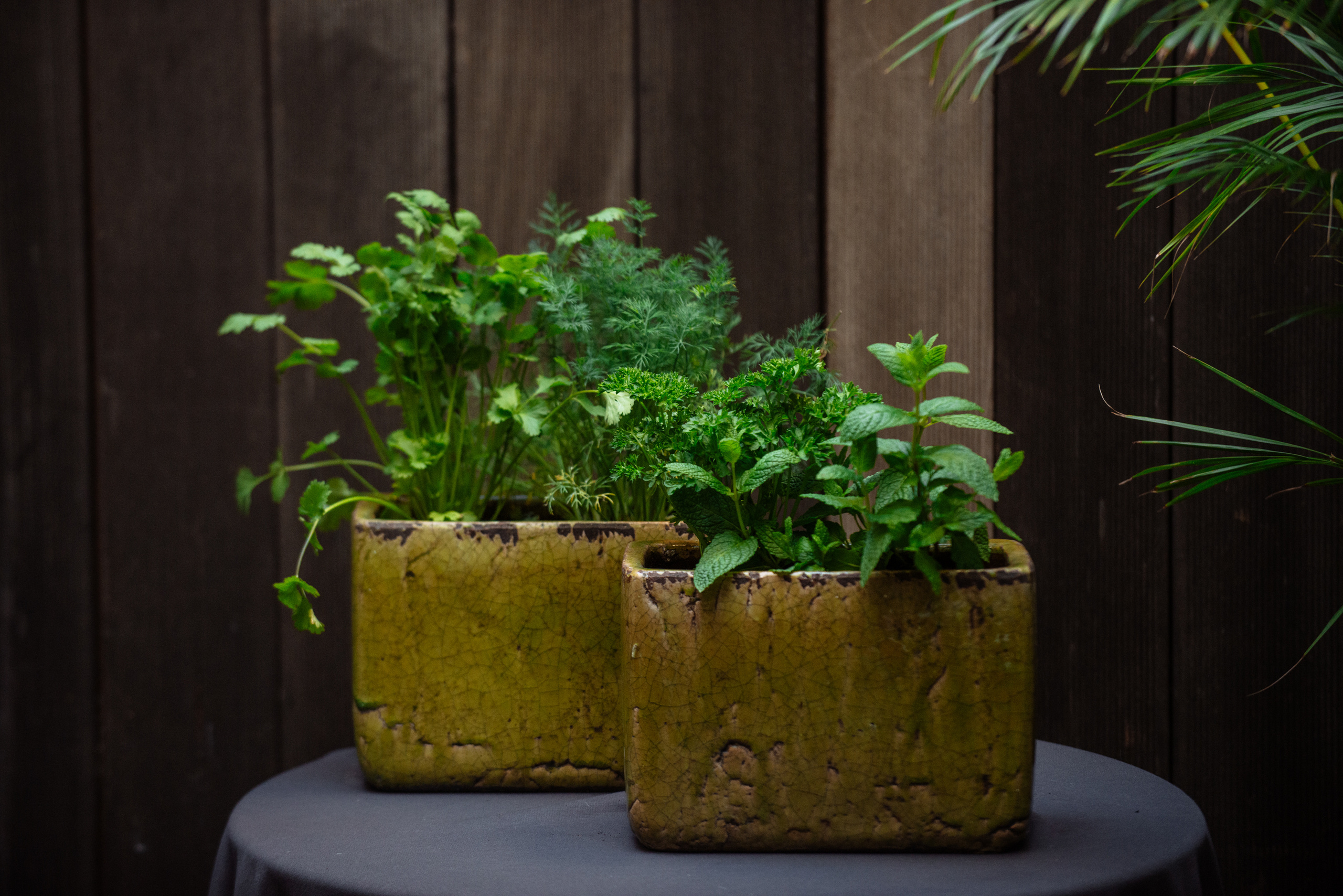 Floratelie Chalaya ramos de flores. Fotógrafa Ekaterina Gasanova - sesiones de fotos en Barcelona