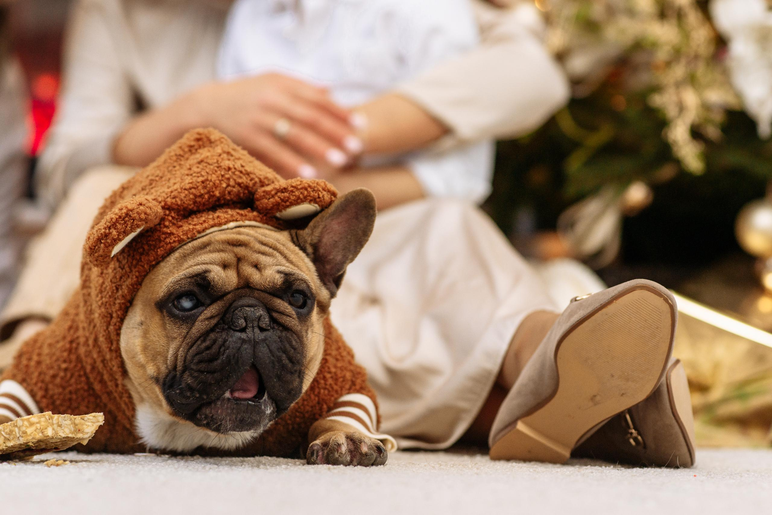 Olga Nail y Niko. Fotógrafa Ekaterina Gasanova - sesiones de fotos en Barcelona