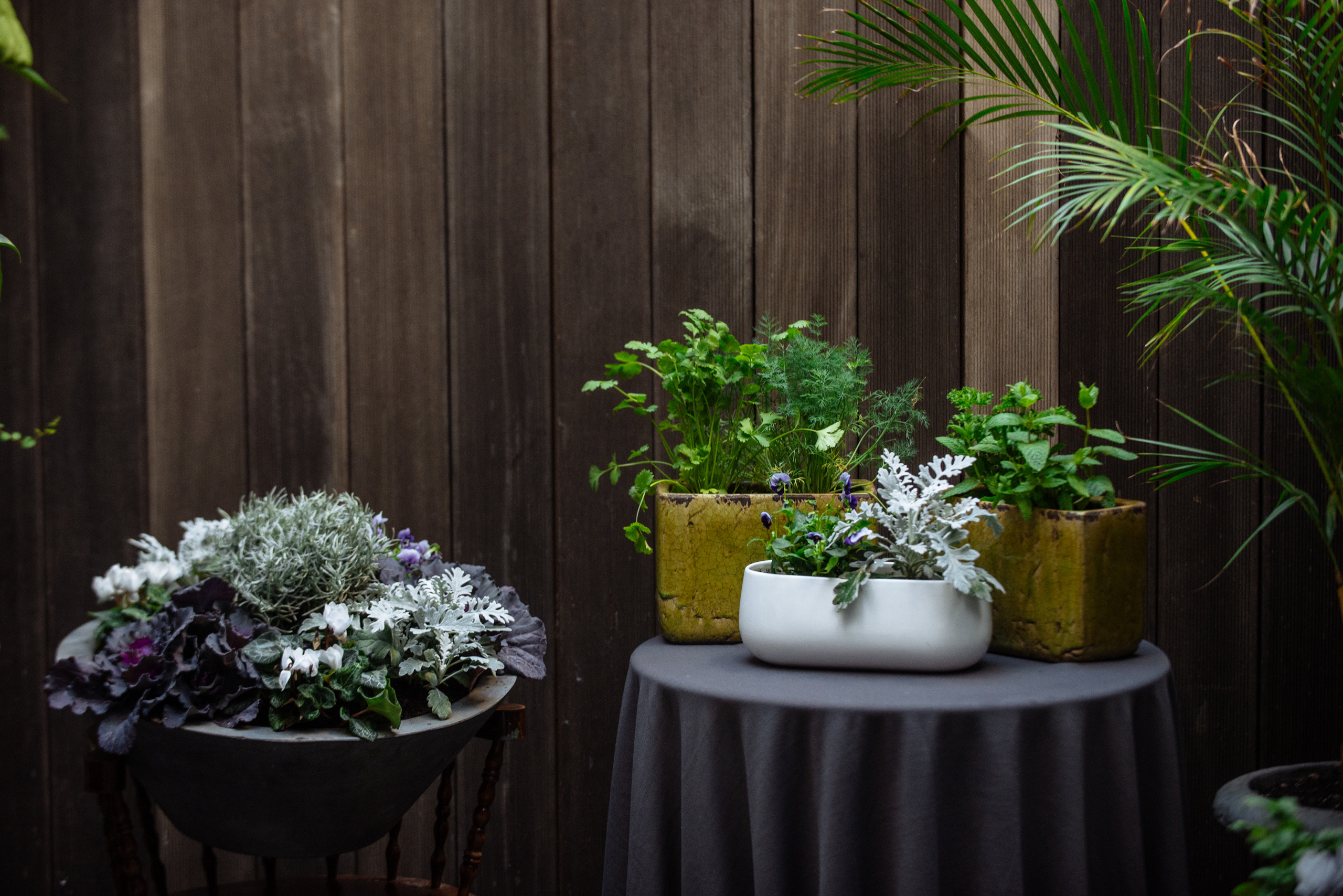 Floratelie Chalaya ramos de flores. Fotógrafa Ekaterina Gasanova - sesiones de fotos en Barcelona