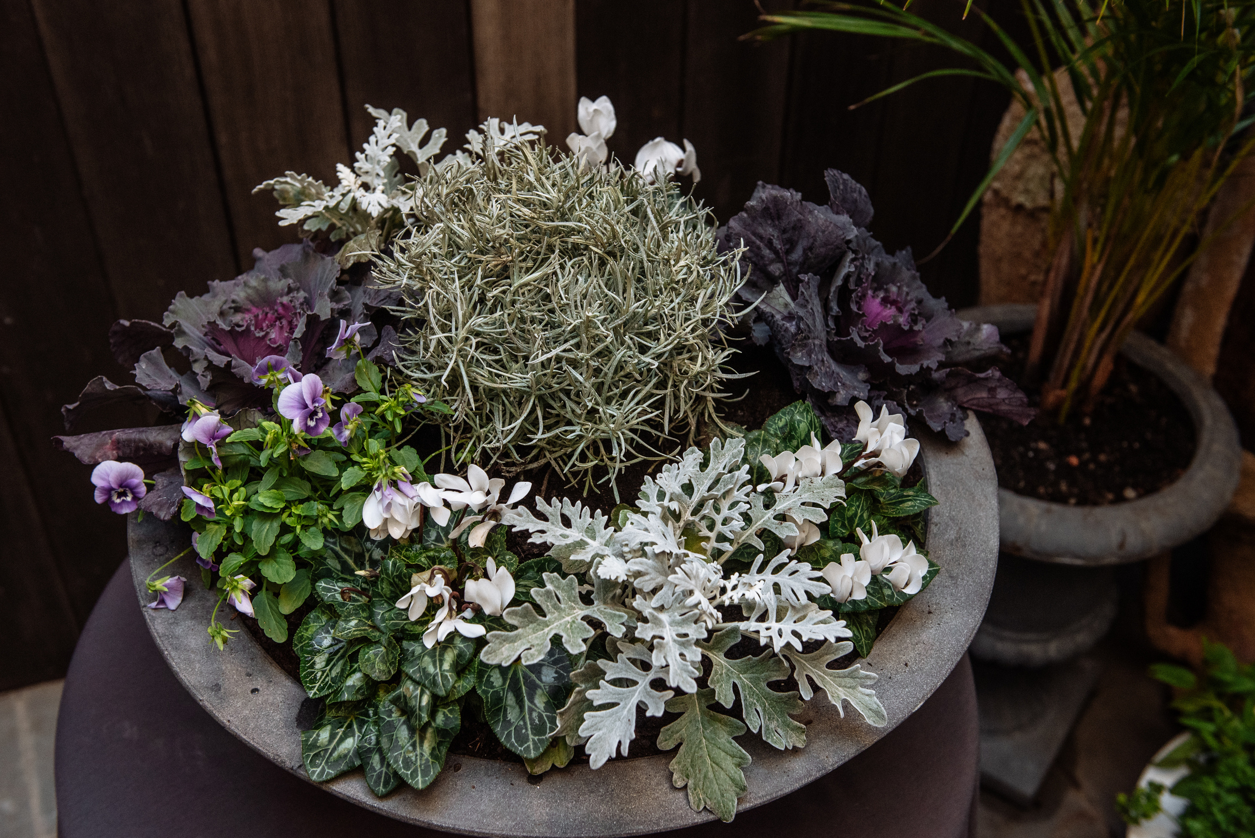 Floratelie Chalaya ramos de flores. Fotógrafa Ekaterina Gasanova - sesiones de fotos en Barcelona