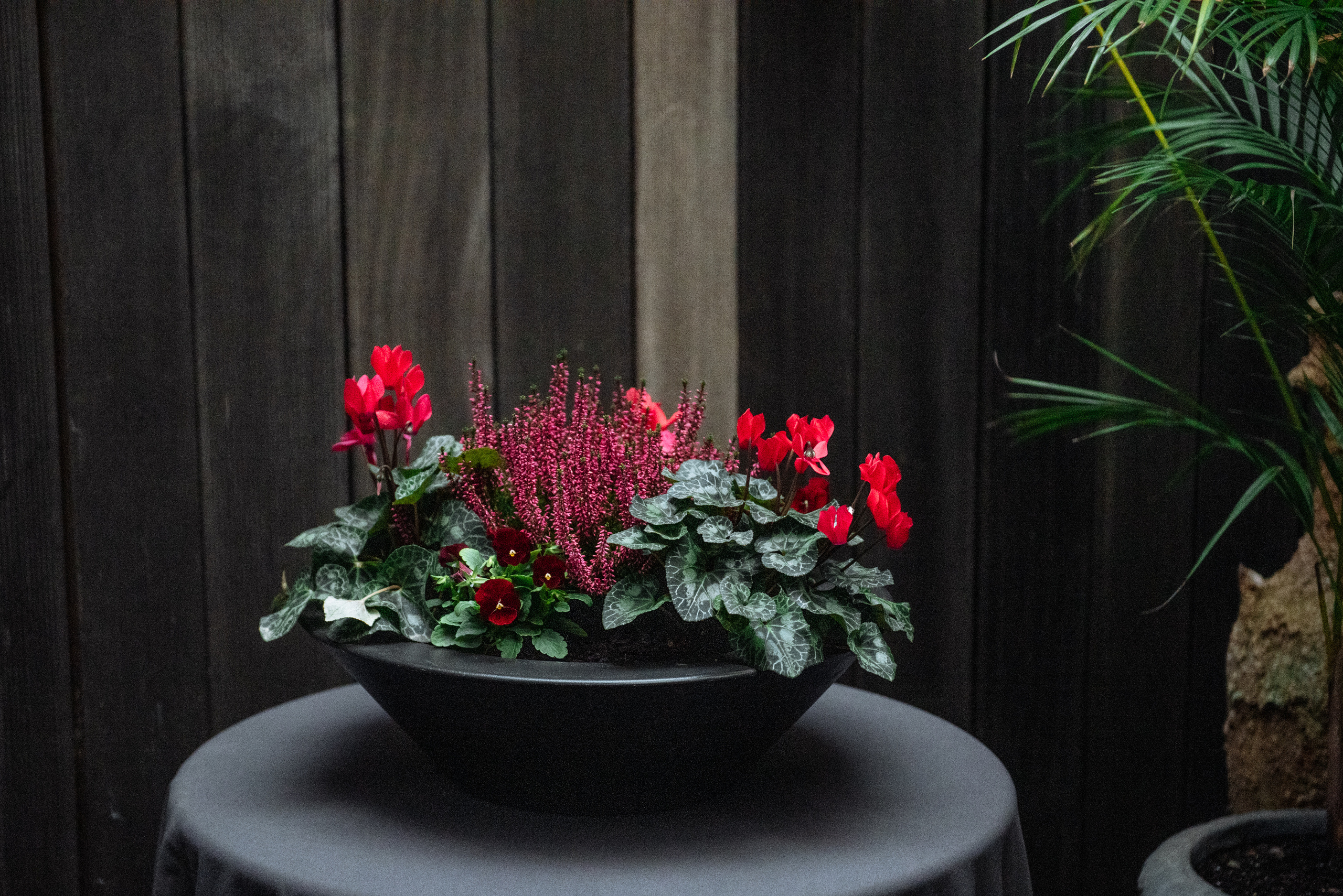 Floratelie Chalaya ramos de flores. Fotógrafa Ekaterina Gasanova - sesiones de fotos en Barcelona