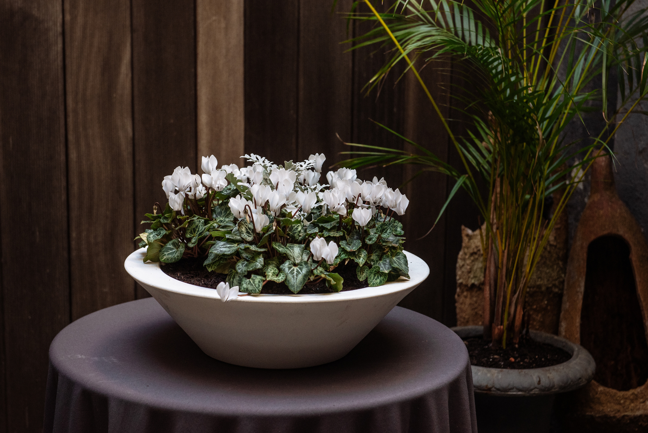 Floratelie Chalaya ramos de flores. Fotógrafa Ekaterina Gasanova - sesiones de fotos en Barcelona