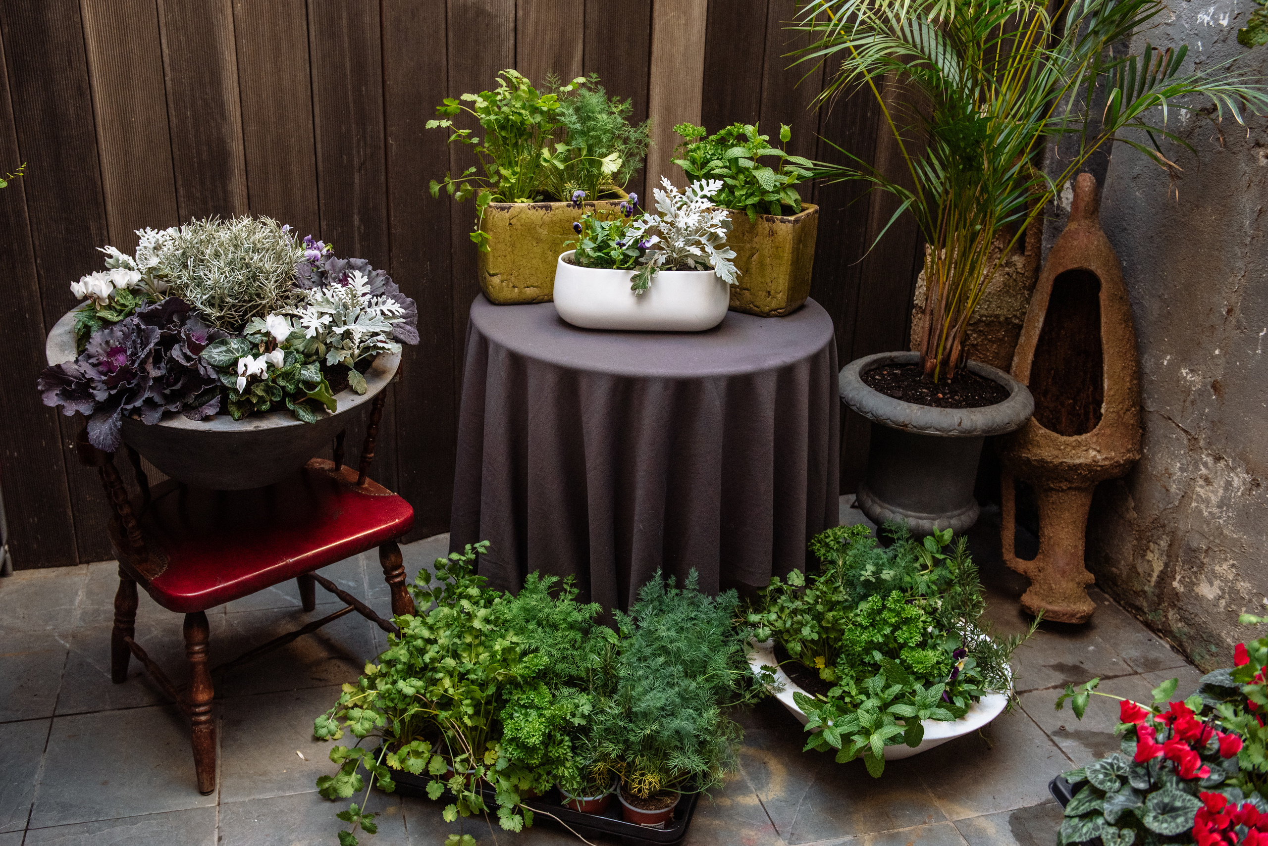 Floratelie Chalaya ramos de flores. Fotógrafa Ekaterina Gasanova - sesiones de fotos en Barcelona