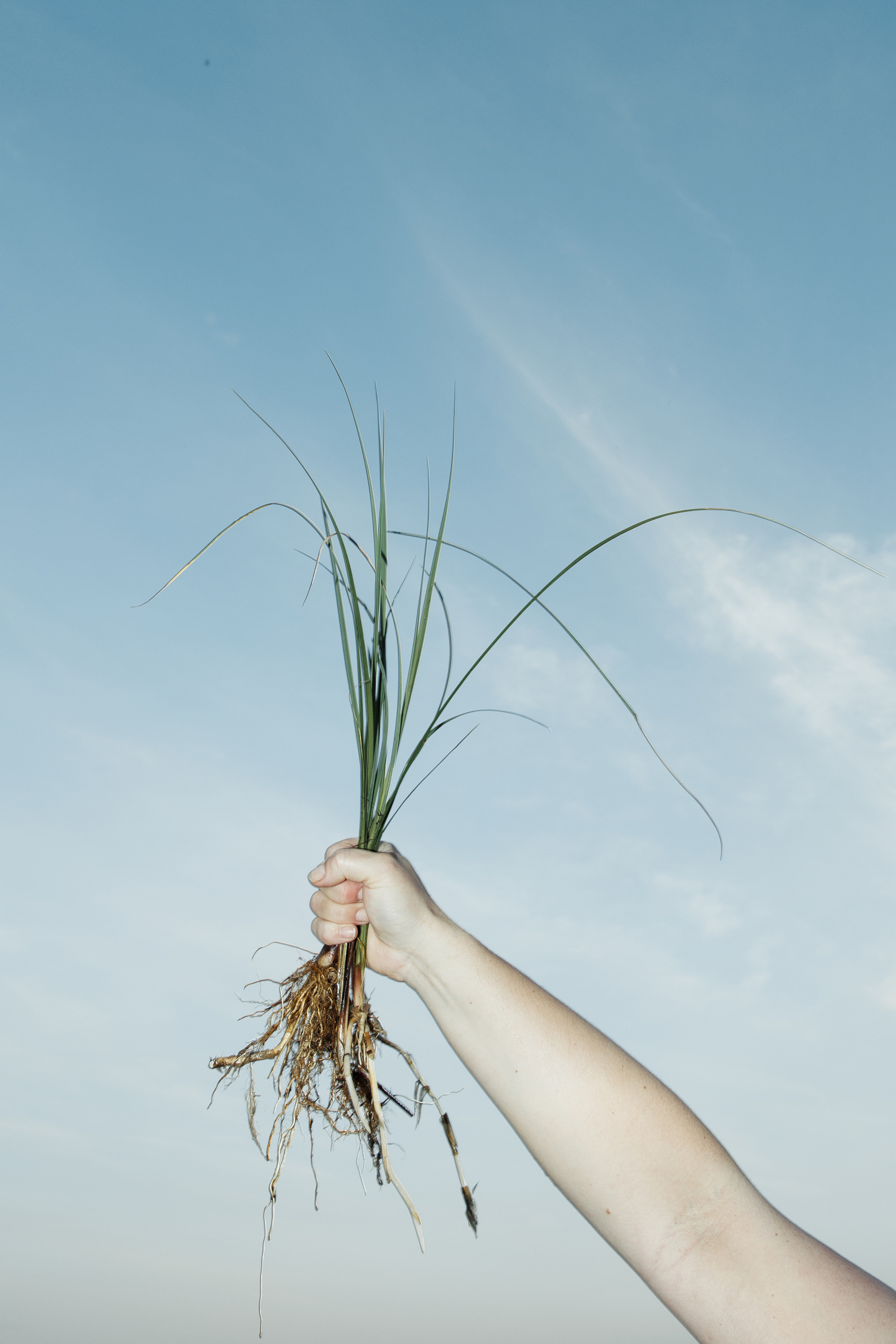 Maija Bondar. Maija Bondar Photographer