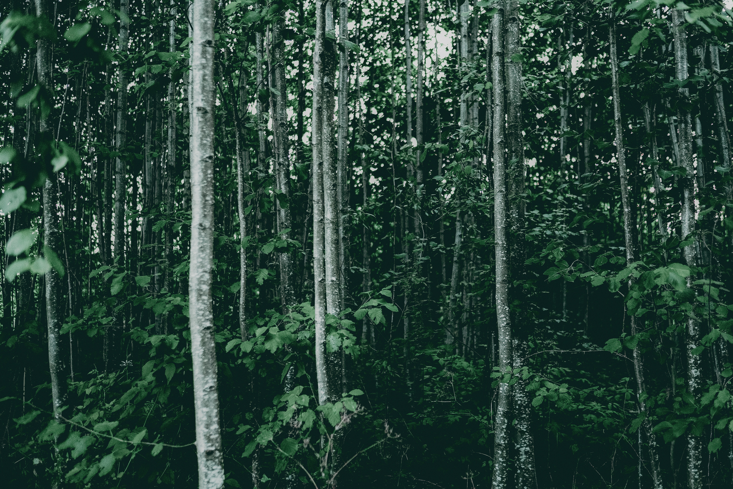 Maija Bondar. Maija Bondar Photographer