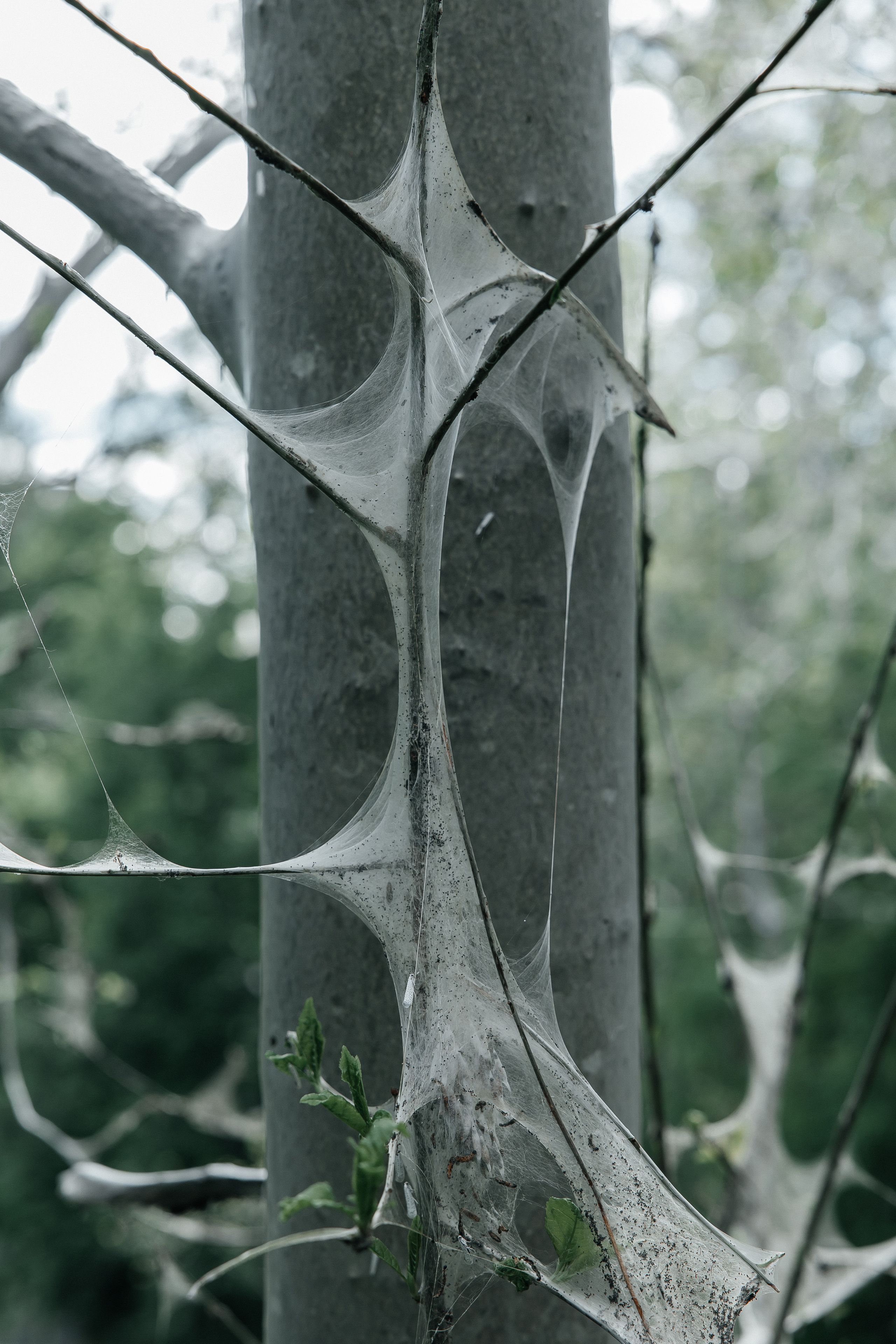 Maija Bondar. Maija Bondar Photographer