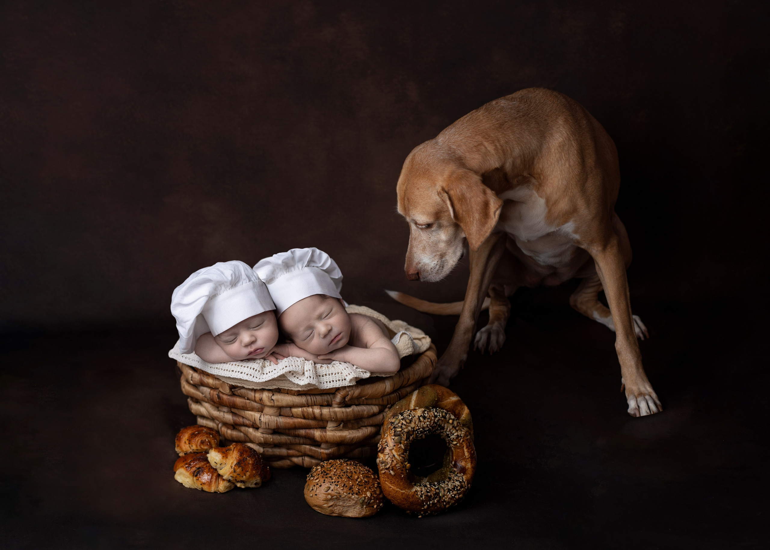 Катерина Шустерман — фотограф Newborn, семейный в Израиле