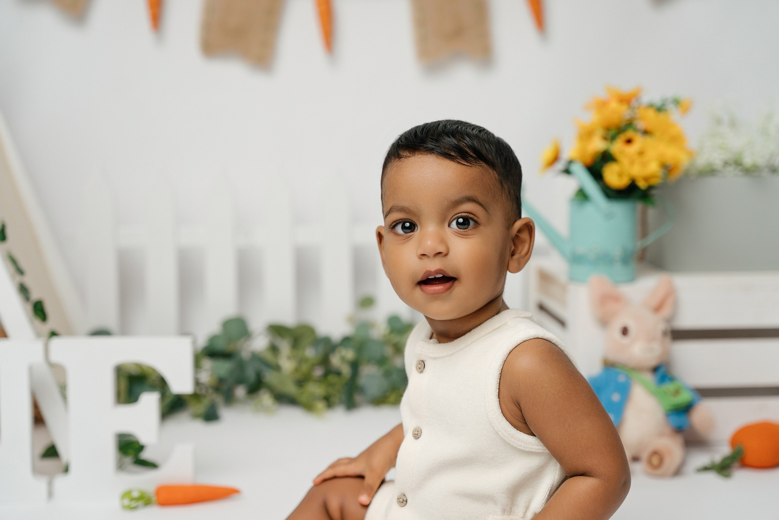 Peter rabbit cake smash session. Newborn and family photographer. Hills District. Sydney