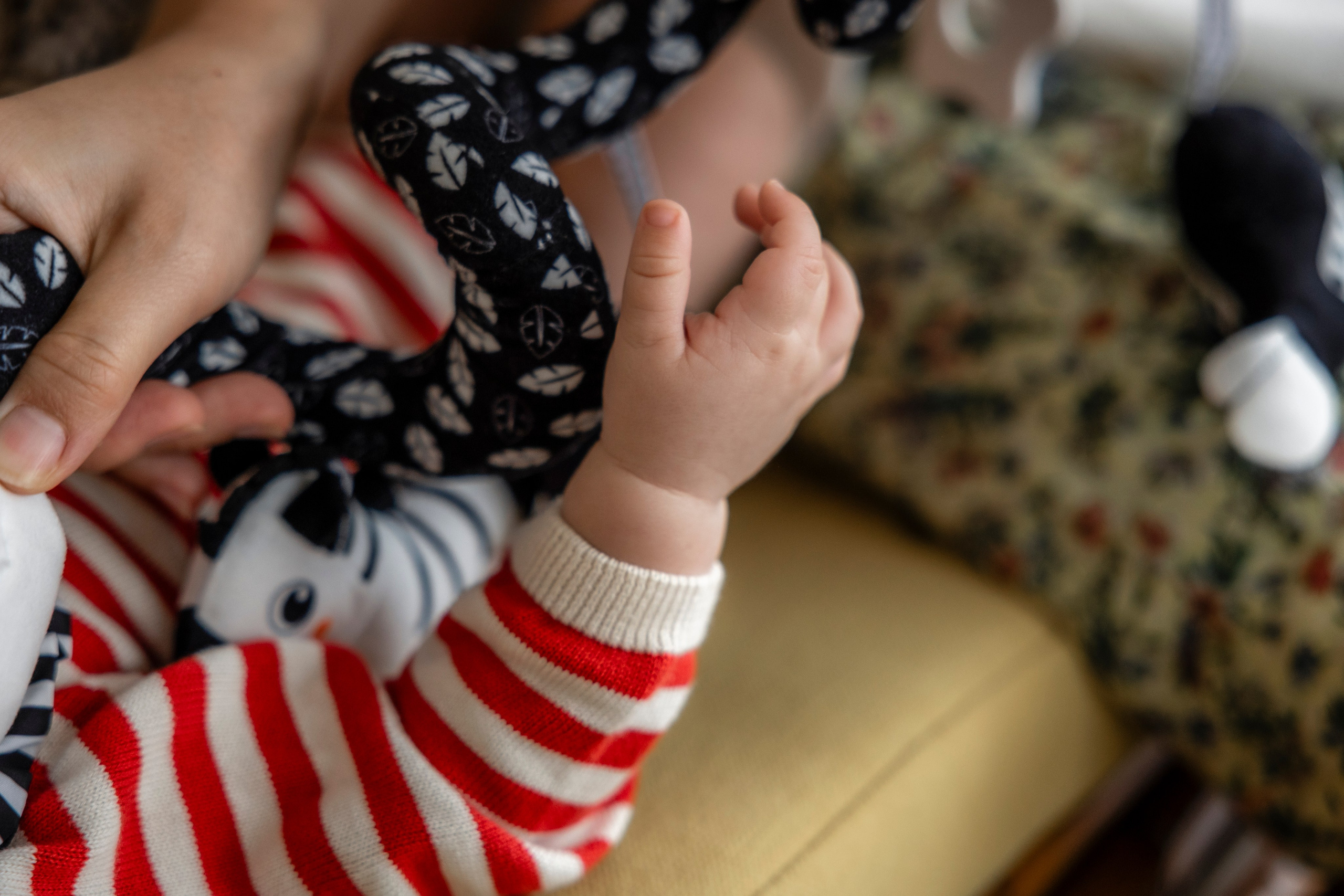 From bump to baby: why at-home family photoshoots in Toulouse are worth It. Eugénie Smirnova — photographe à Toulouse et dans le sud-ouest de la France