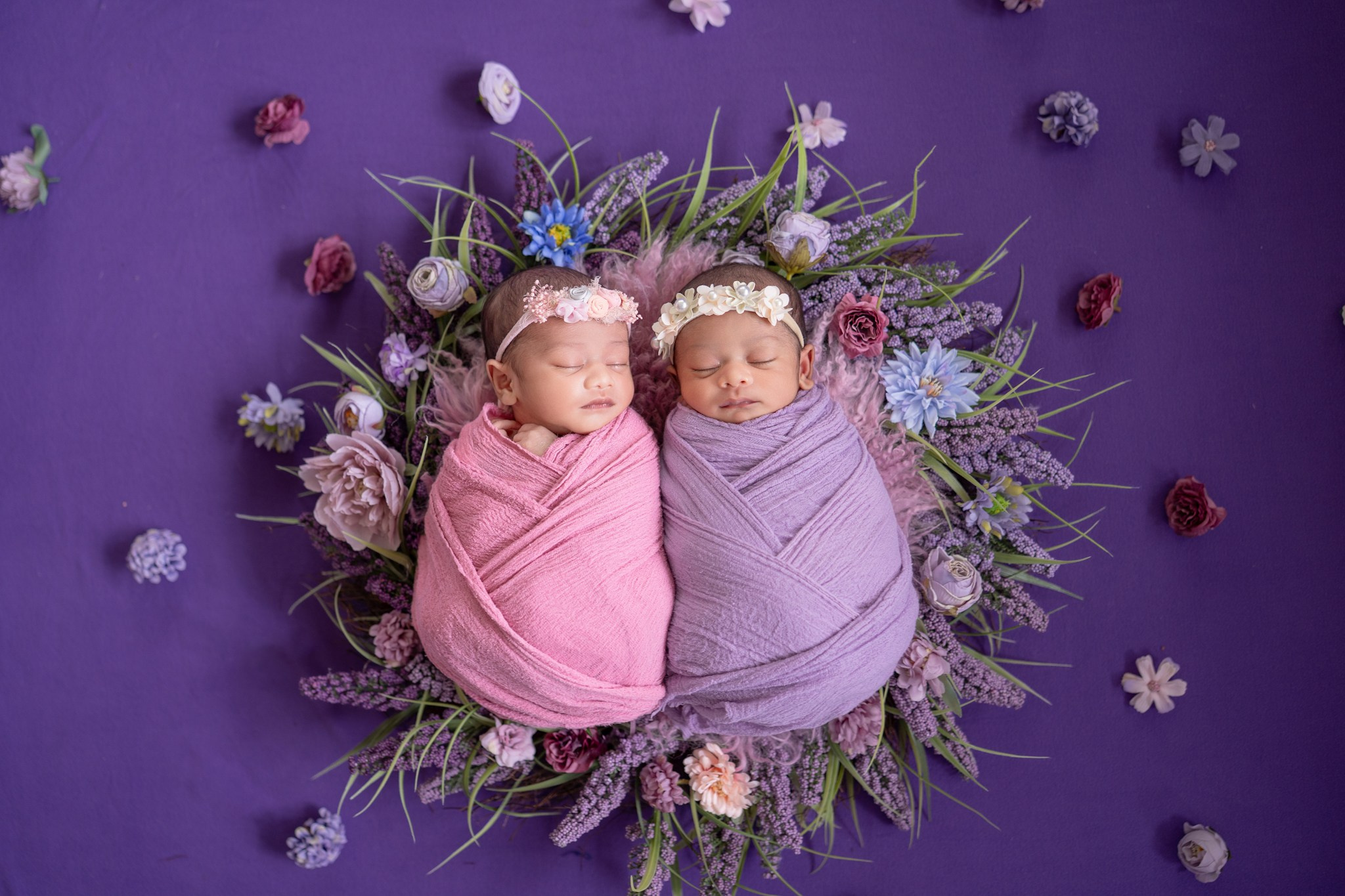 Posed Newborn. Maternity, family and newborn photography in San Francisco Bay Area