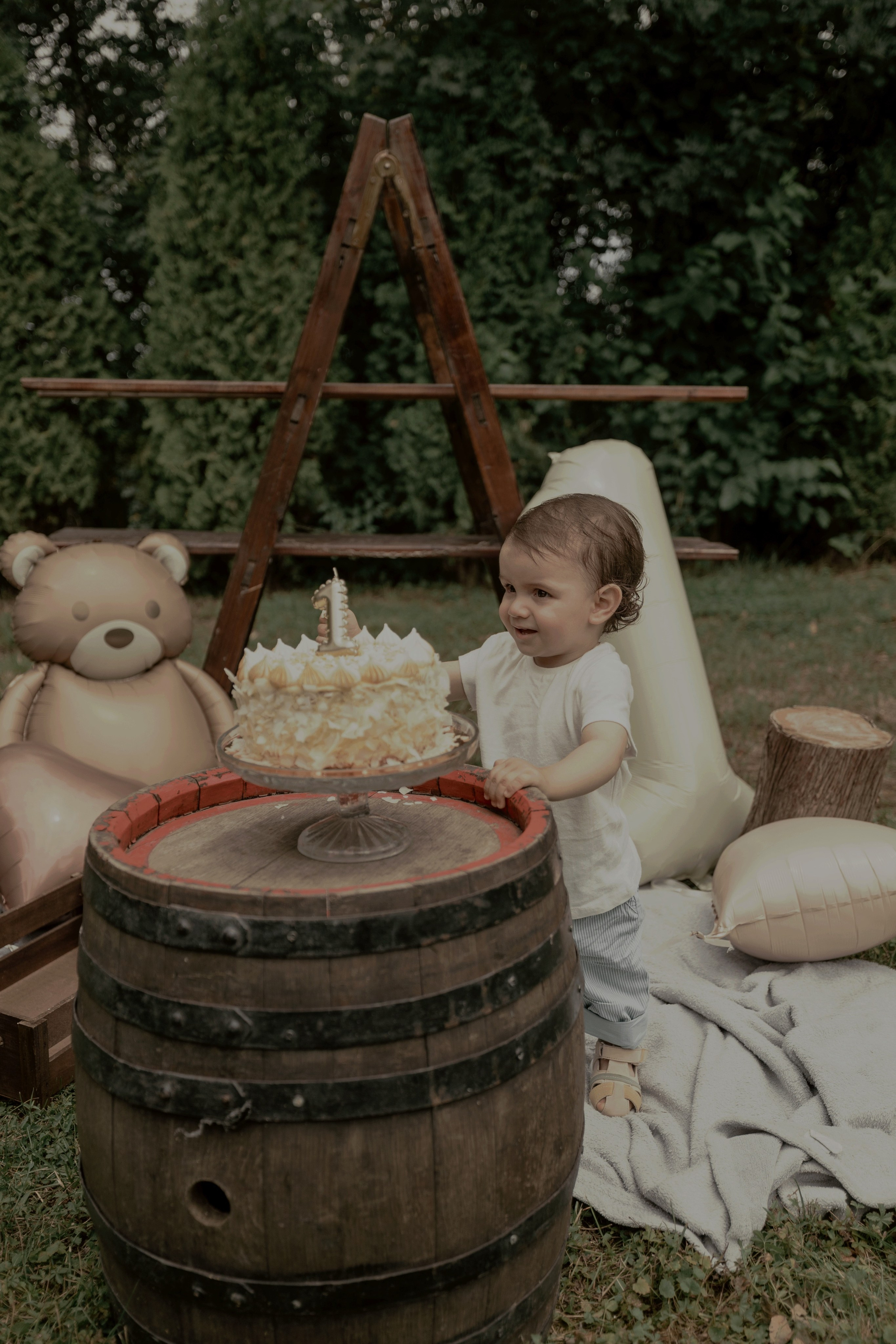 Armin — Micul explorator împlinește 1 an. Emotions Photo Art