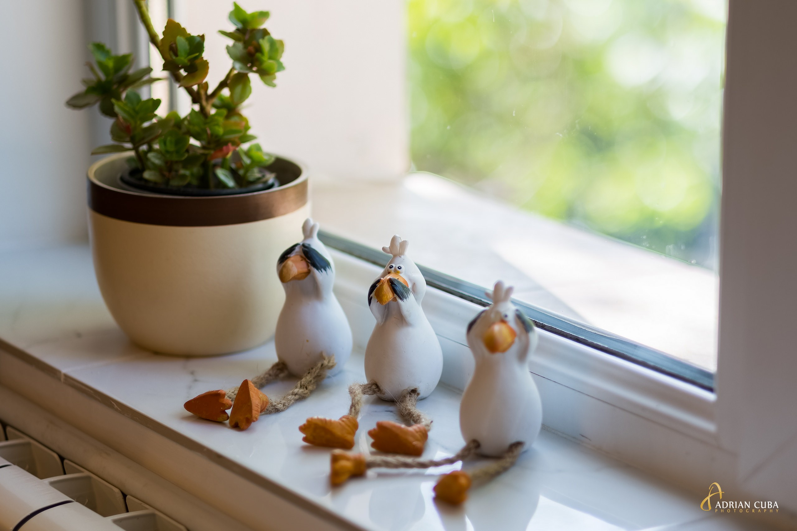 Fotograf imobiliare Iasi | Fotografii profesionale pentru vanzari si inchirieri locuinte