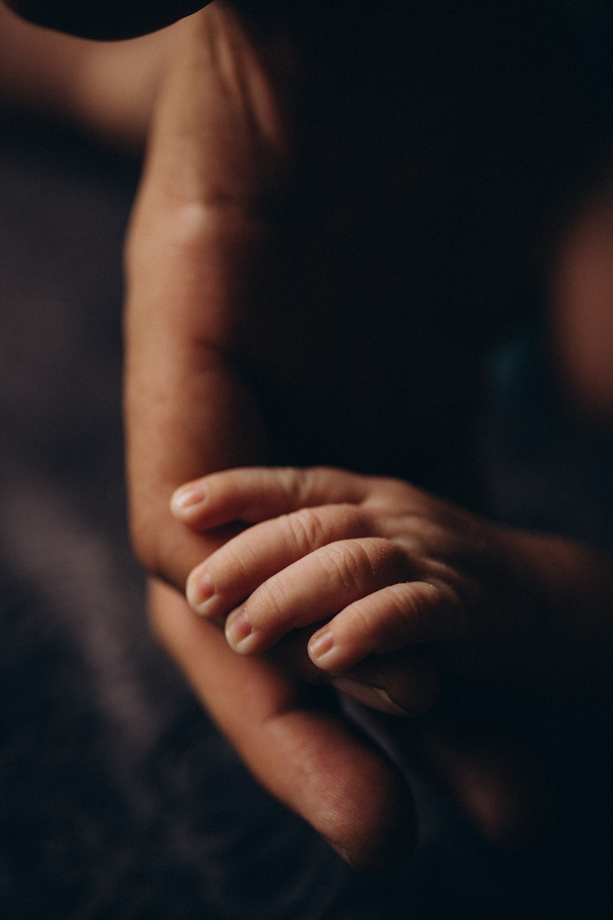 Fotografa documental de familia e nascimento em Florianópolis SC Daria Ermolaev