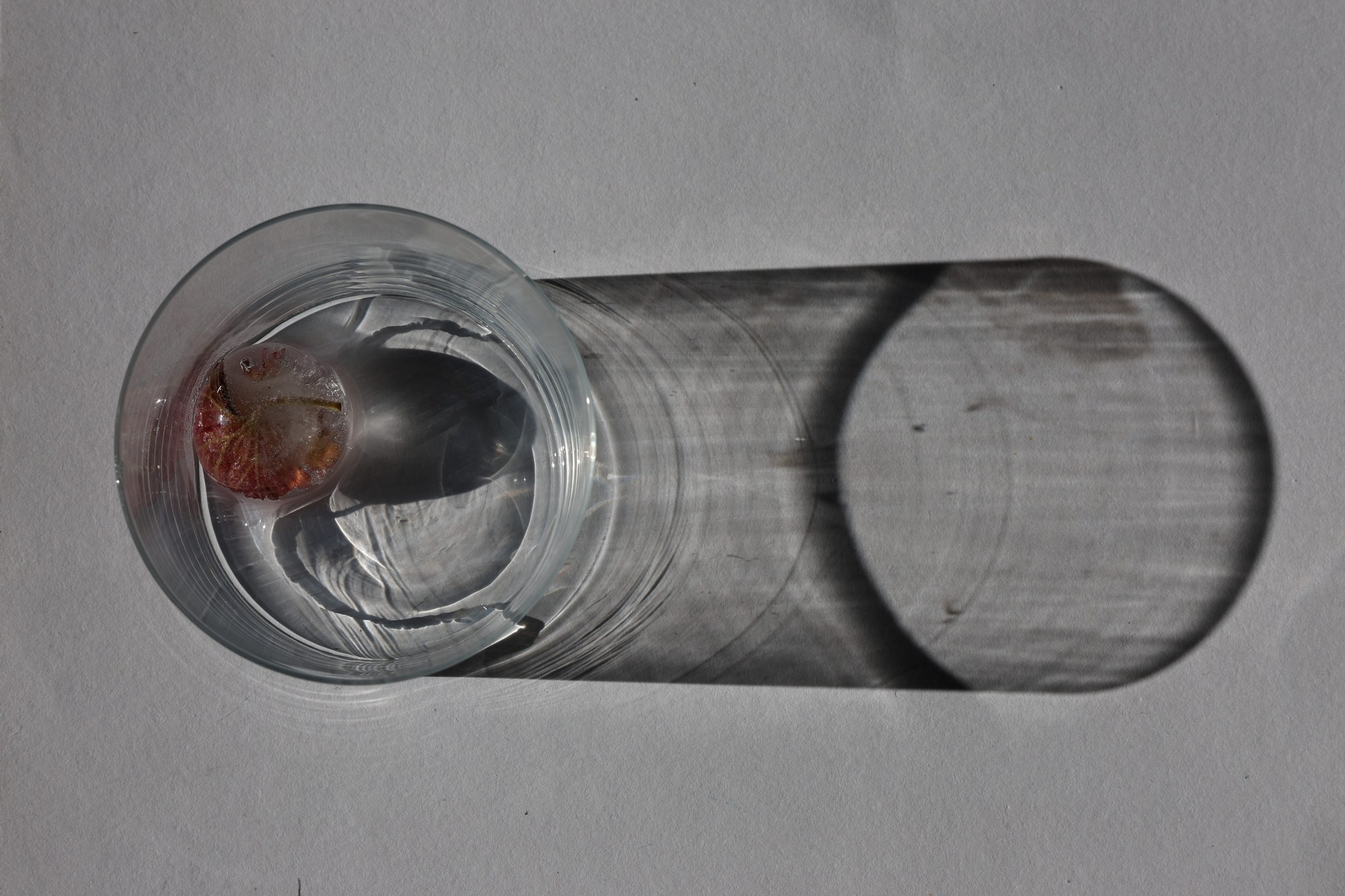 Siguen caminando dentro de mi corazón