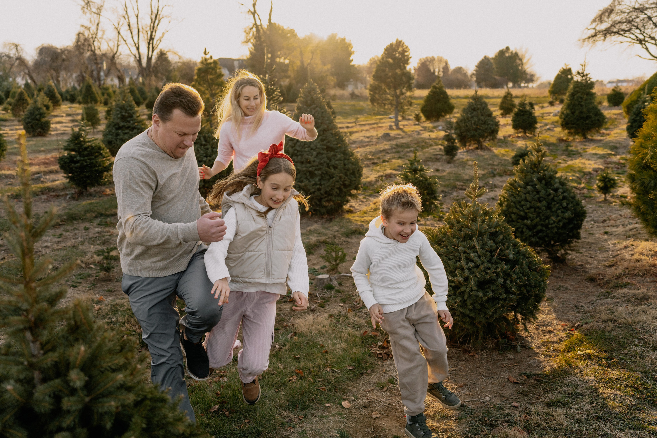 Christmas Farm Family Photoshoot – Magical Holiday Memories. Alisa Tant — Family and newborn photographer Bucks County, Montgomery county, Philadelphia, NJ