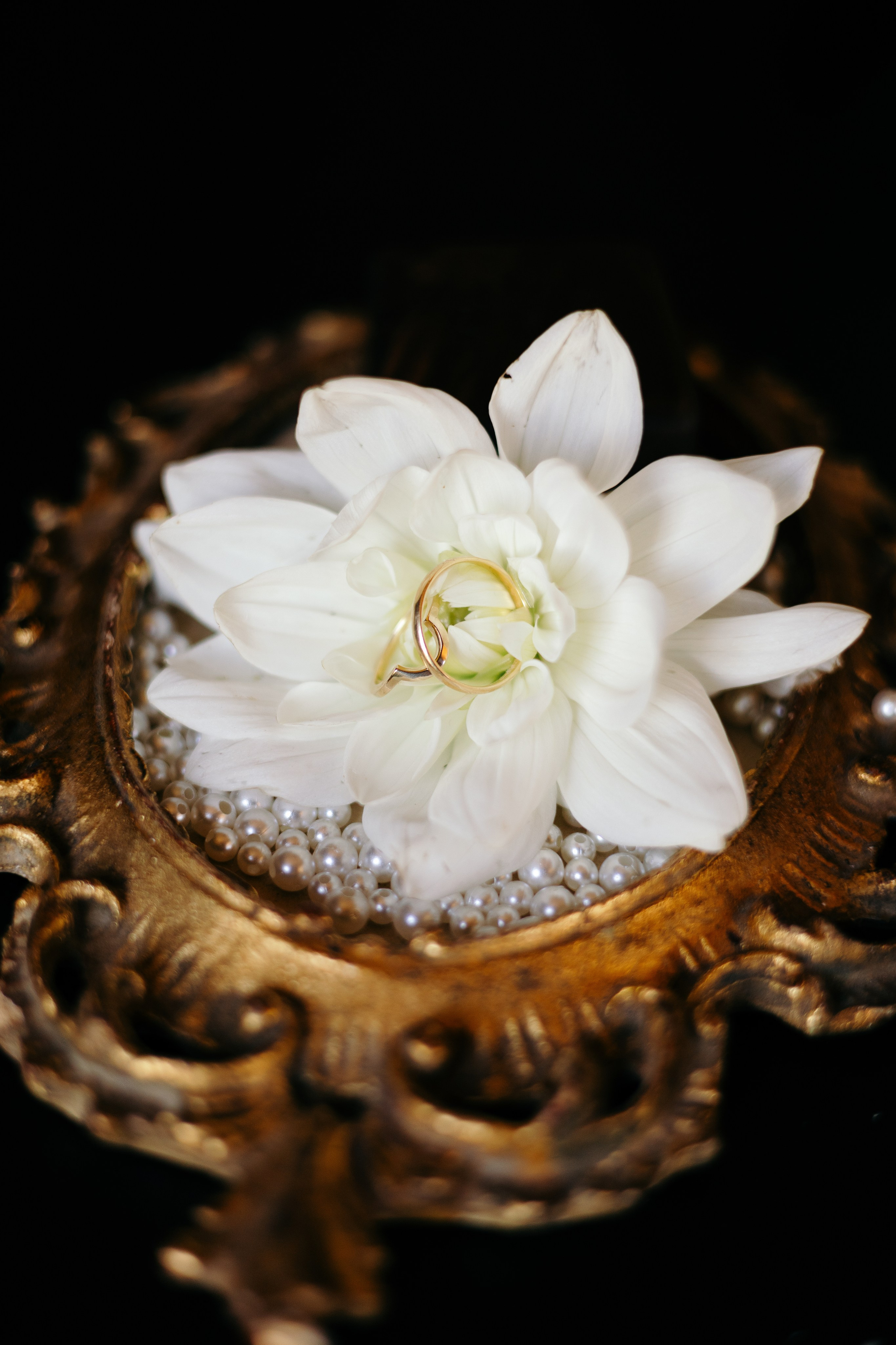 Daria and Beni. Sara Luca Wedding Photographer in Italy and Europe