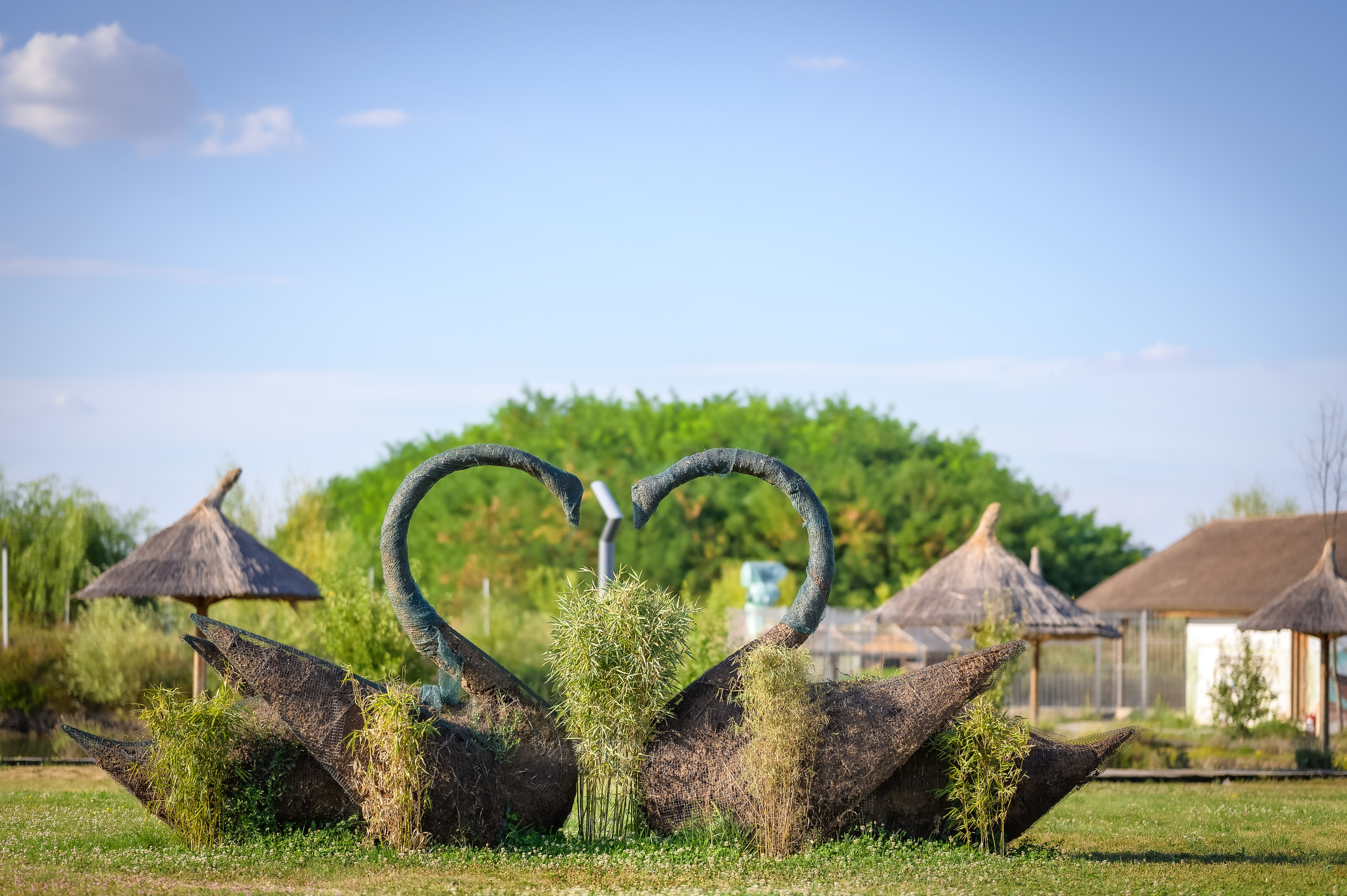 Nunta Lebada Neagra Resort – locatie premium evenimente