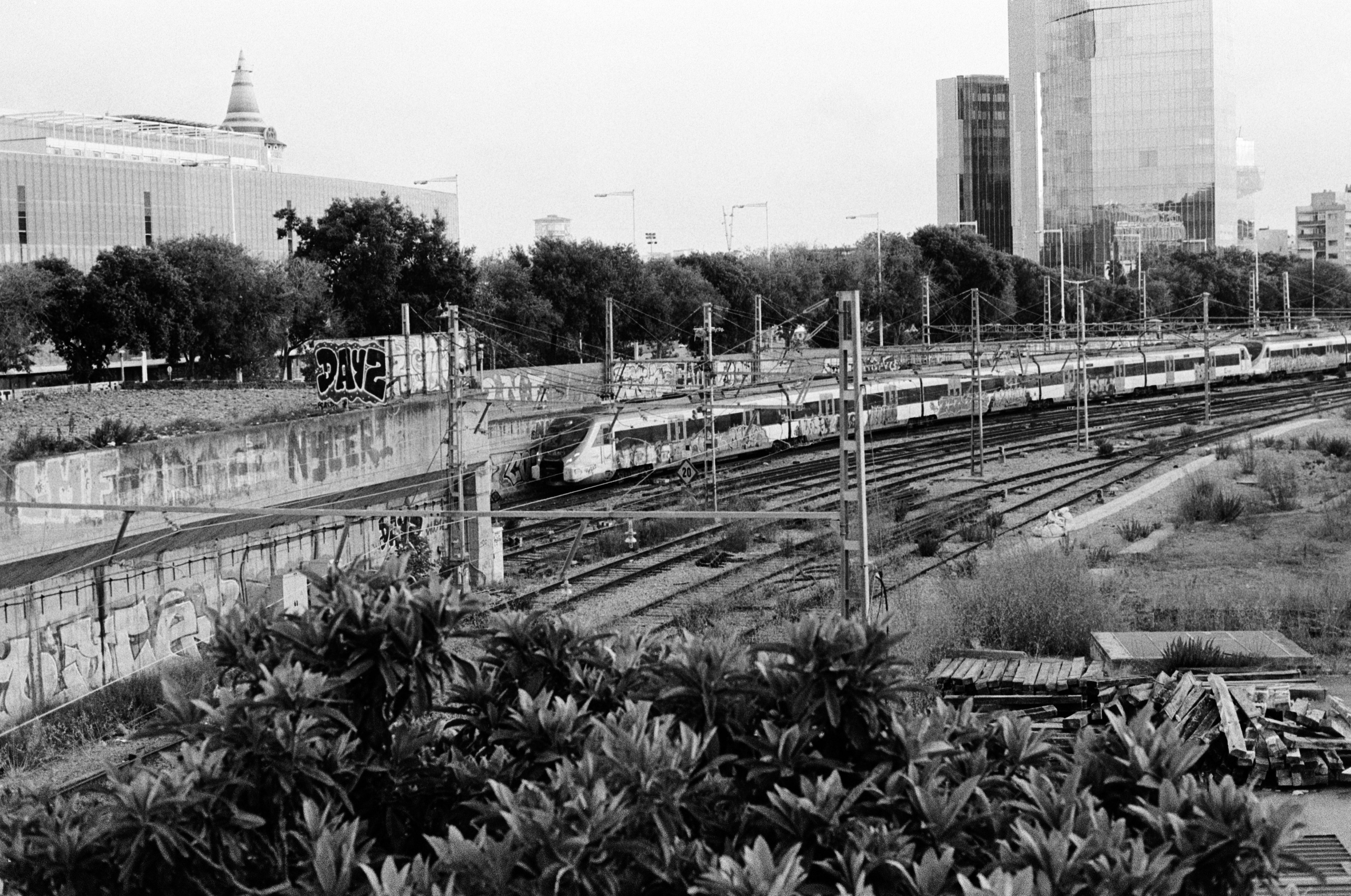 Ilford 400