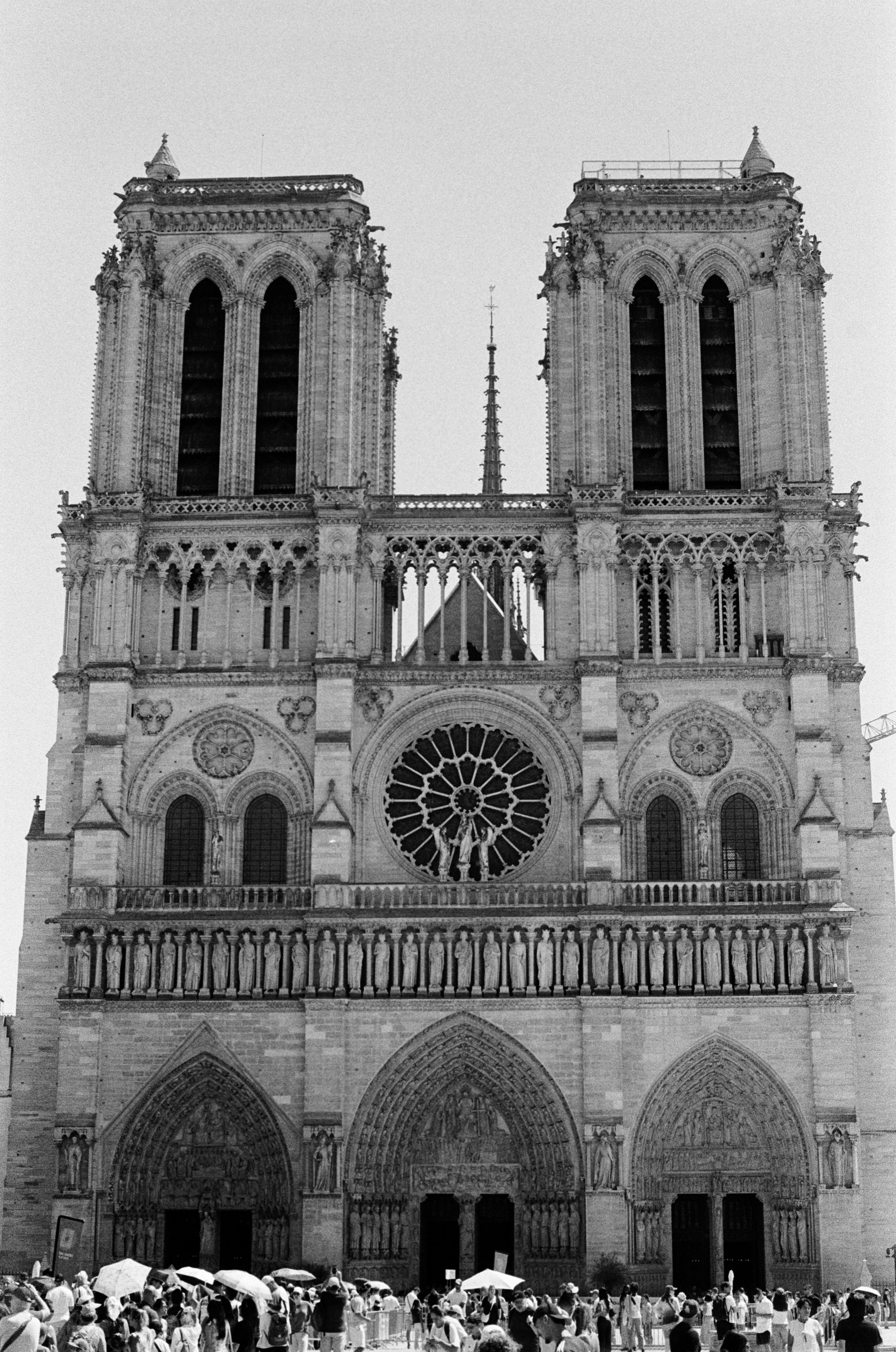 Ilford 400