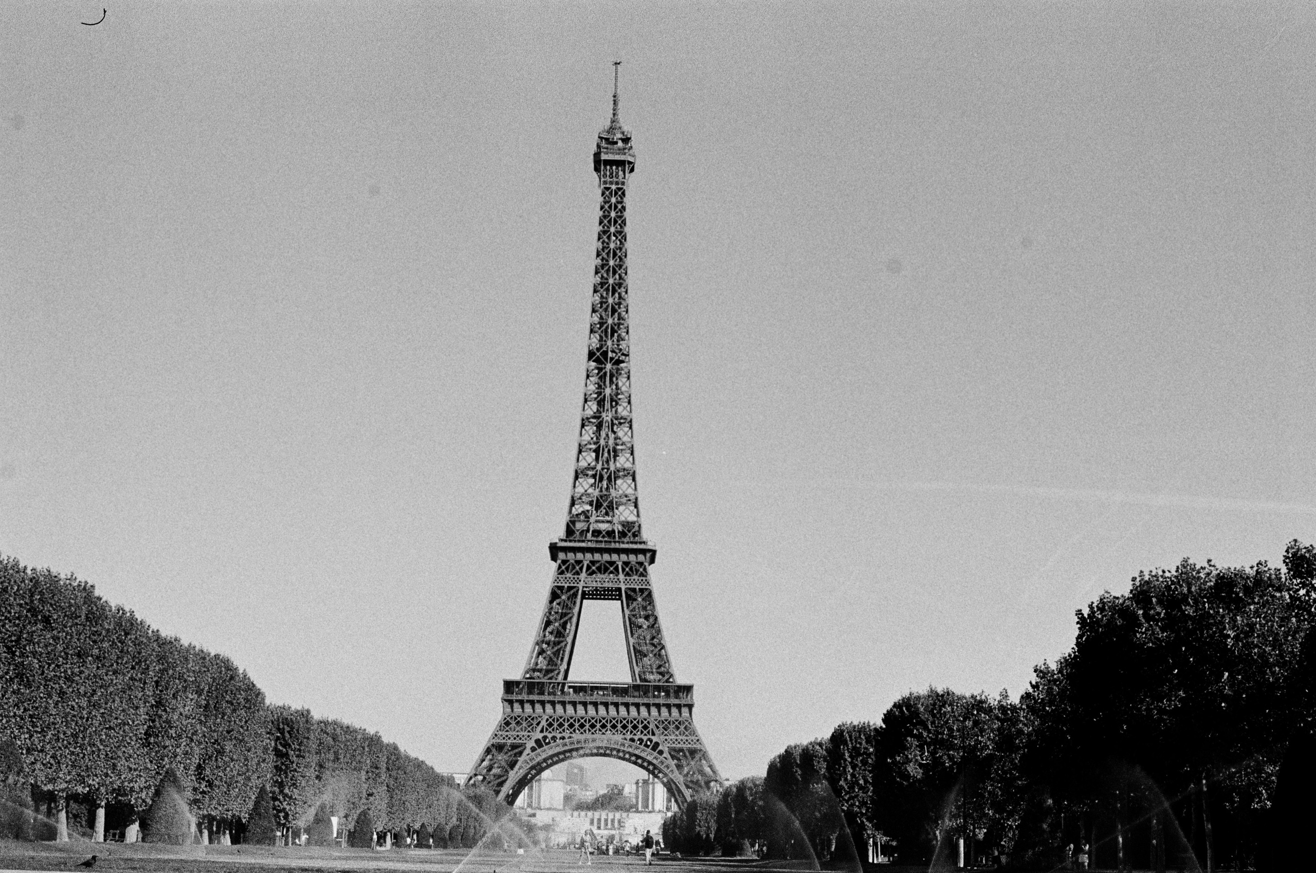 Ilford 400
