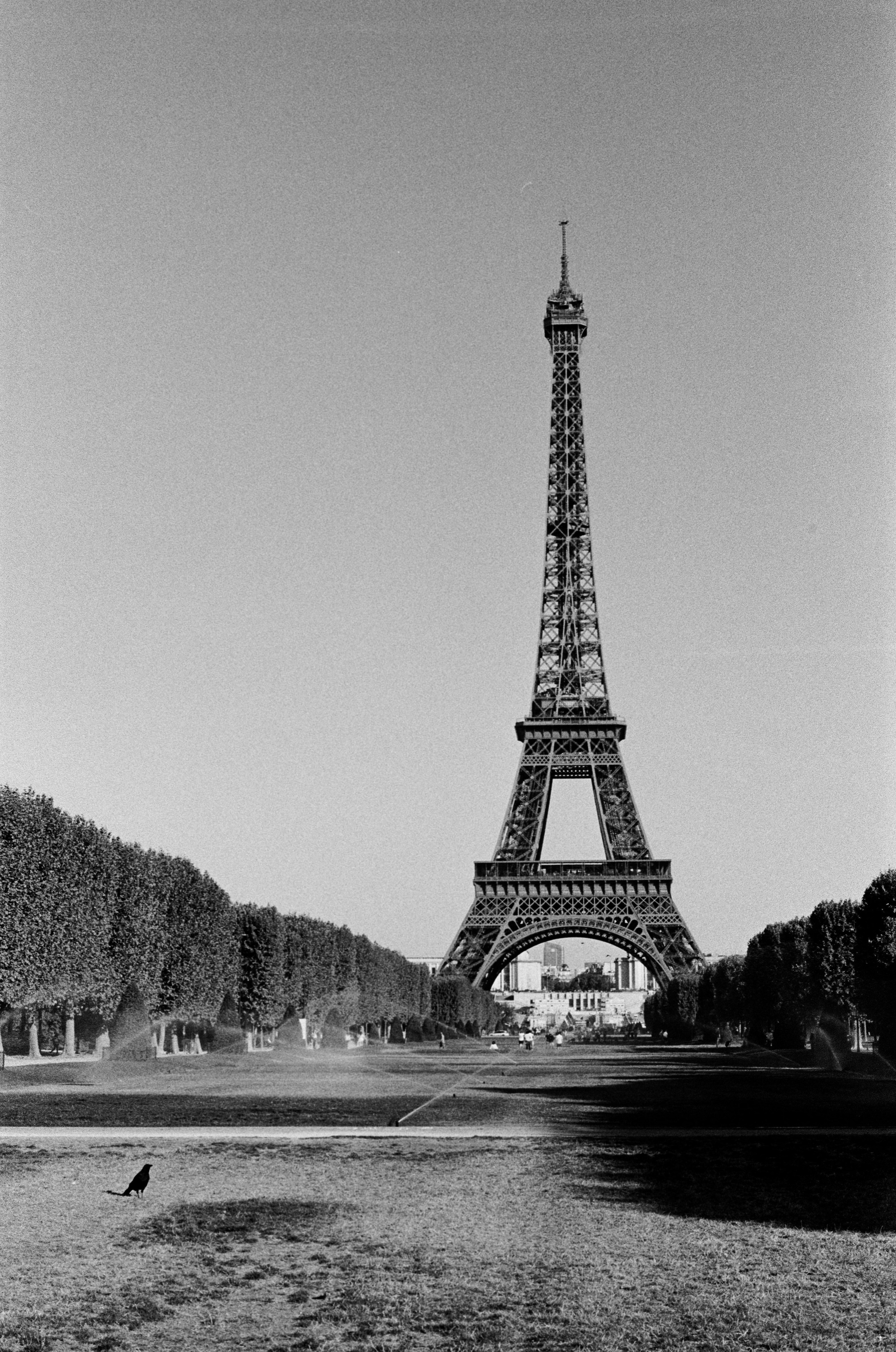 Ilford 400