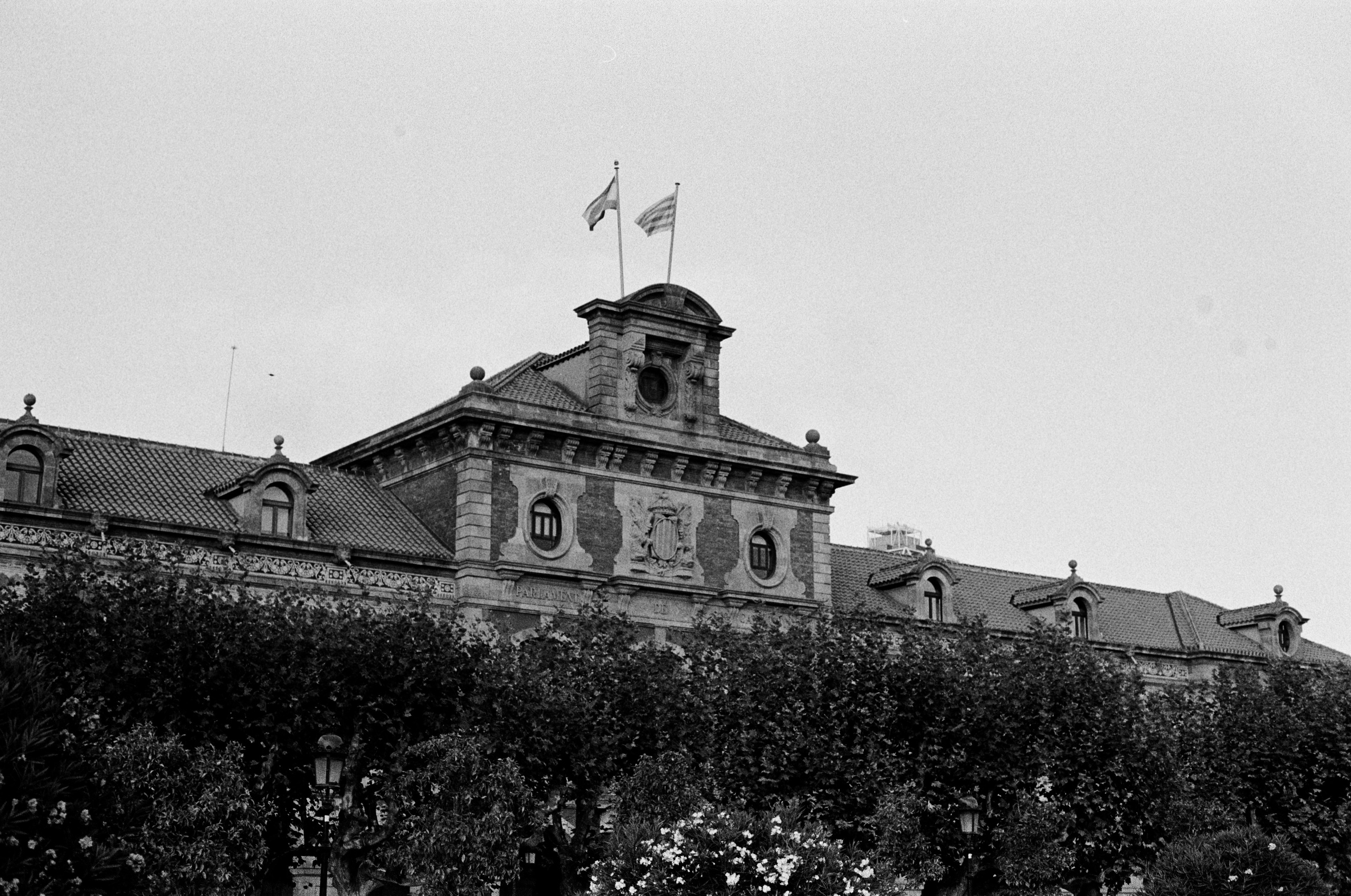 Ilford 400