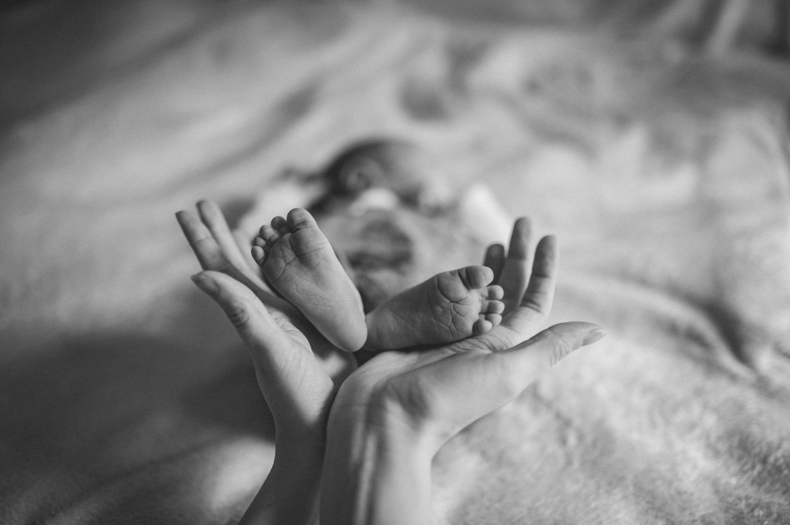 Familienfotografin Lily Walter | Regensburg & München. Lily Walter | Hochzeitsfotografin Regensburg | München