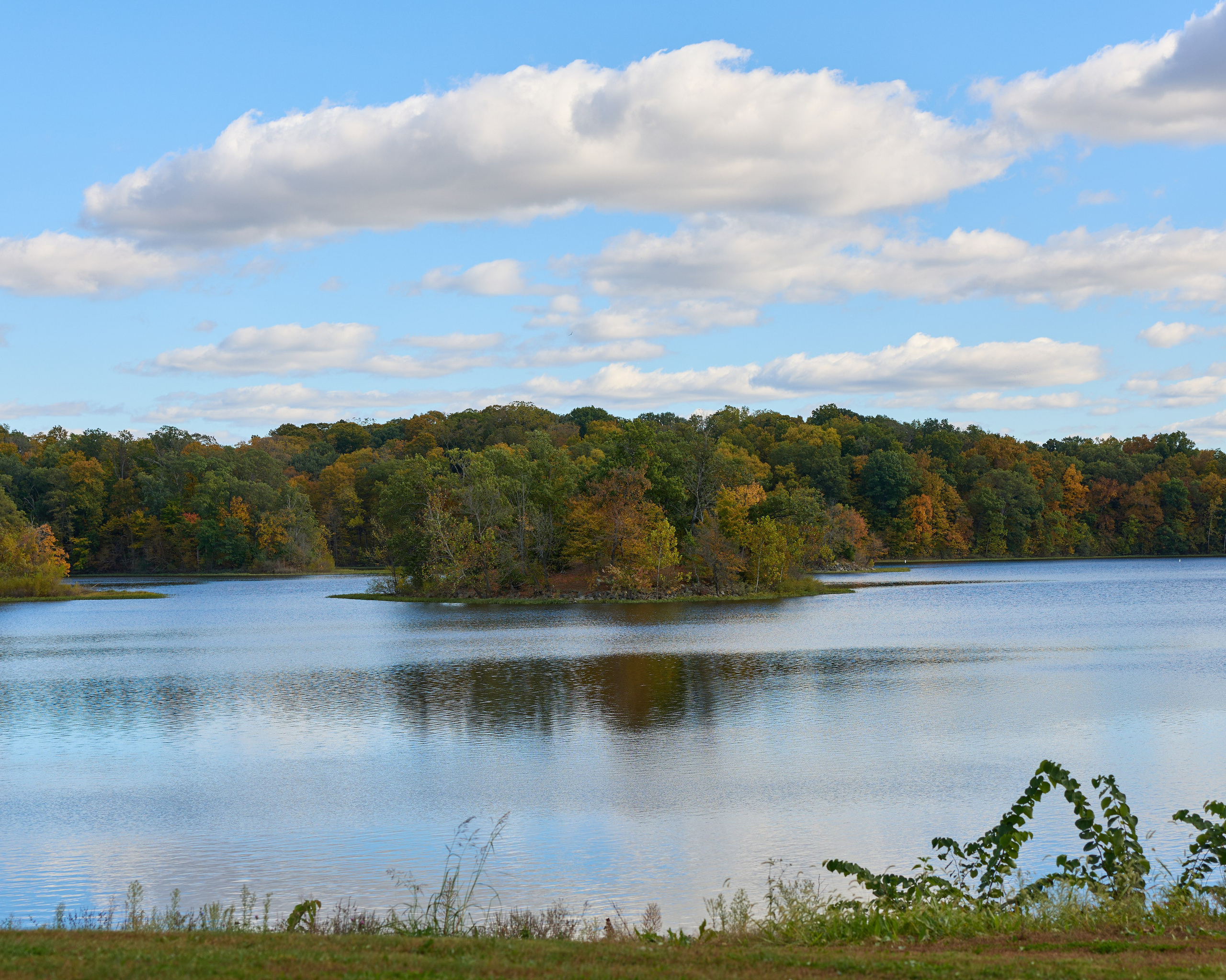 Hargus Lake Proposal | Ohio Surprise Proposal Photographer