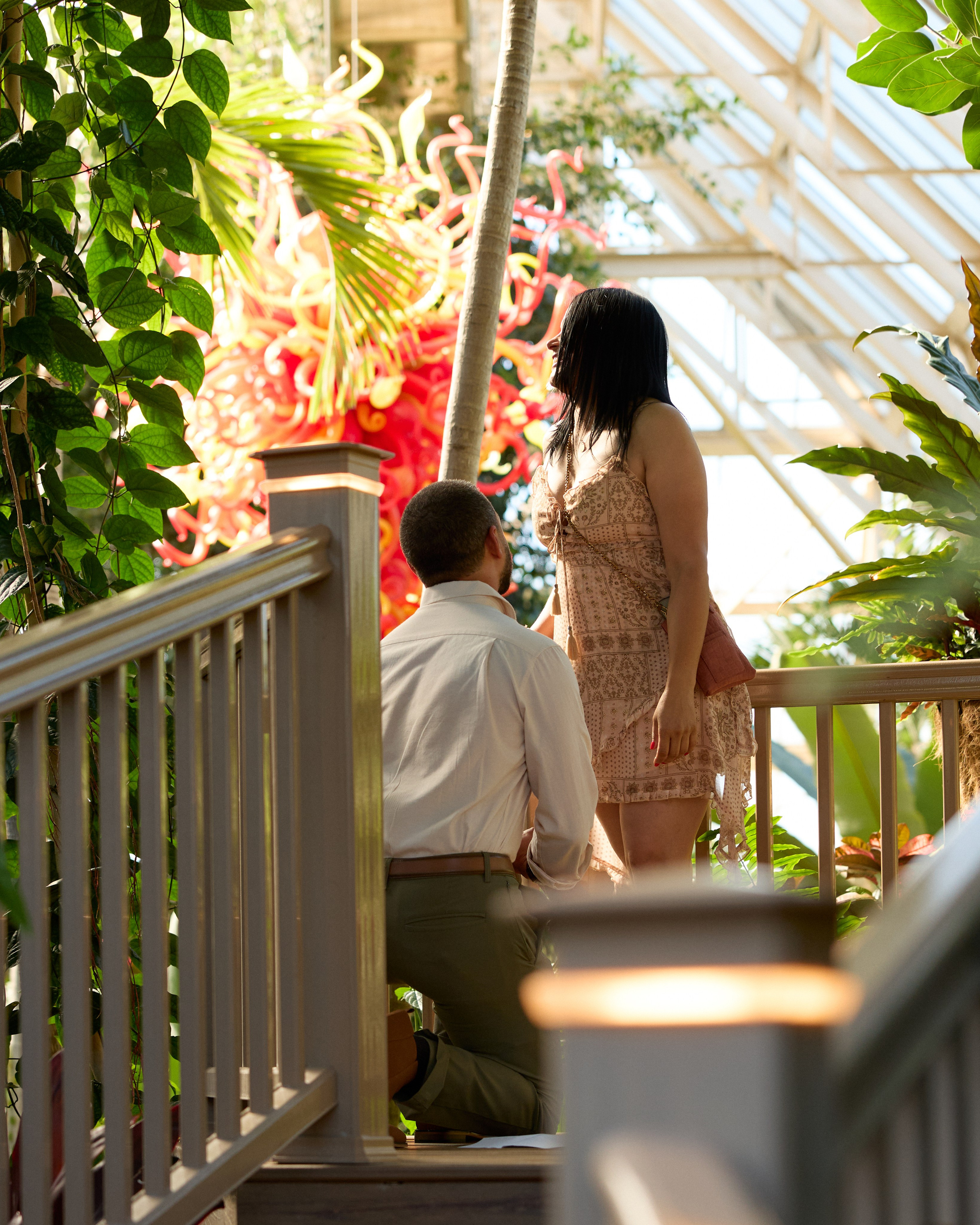 Staircase proposal with red blooms at Franklin Park Conservatory in Columbus, Ohio