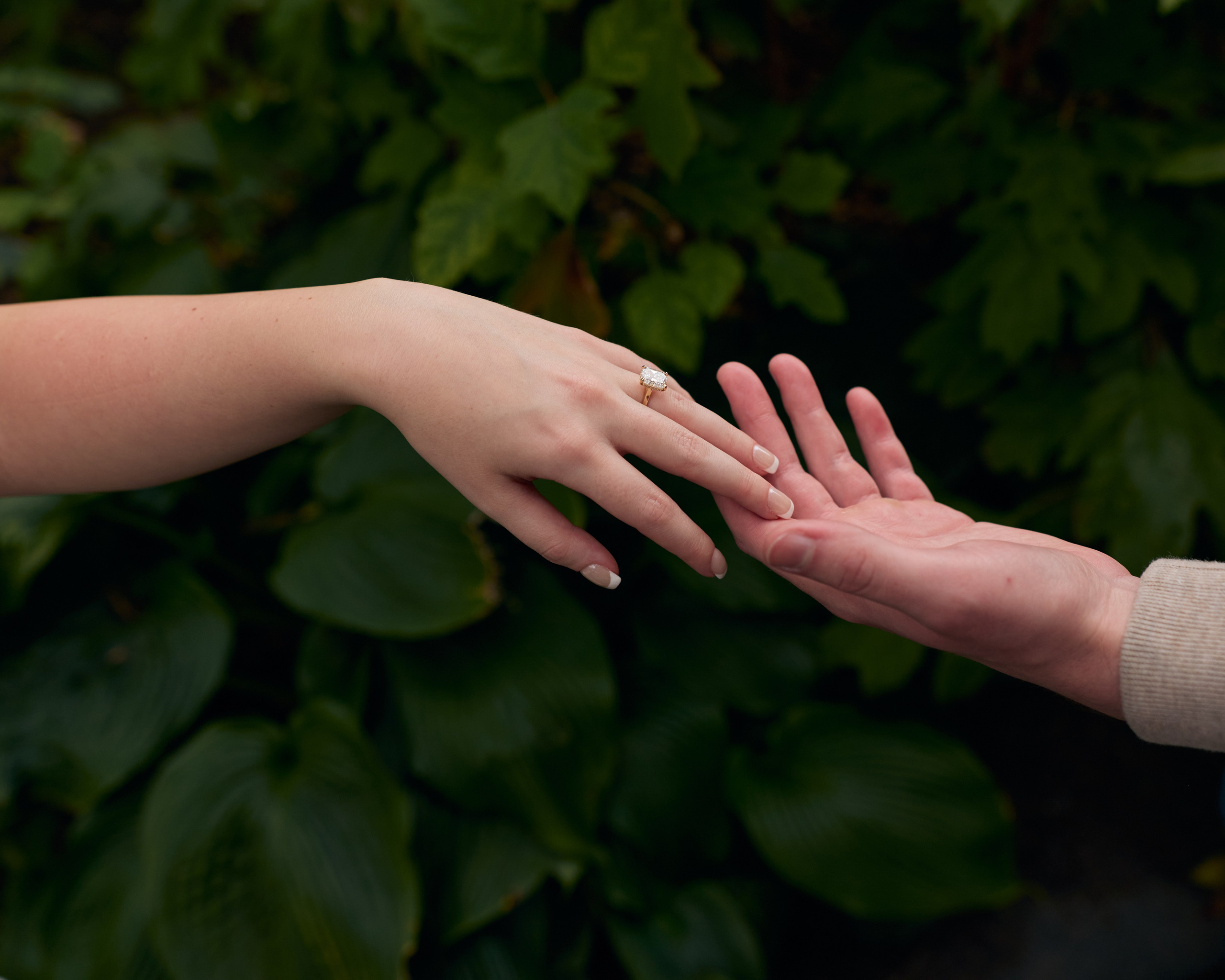 Close-up of reaching hands against green foliage at Franklin Park Conservatory in Columbus, Ohio