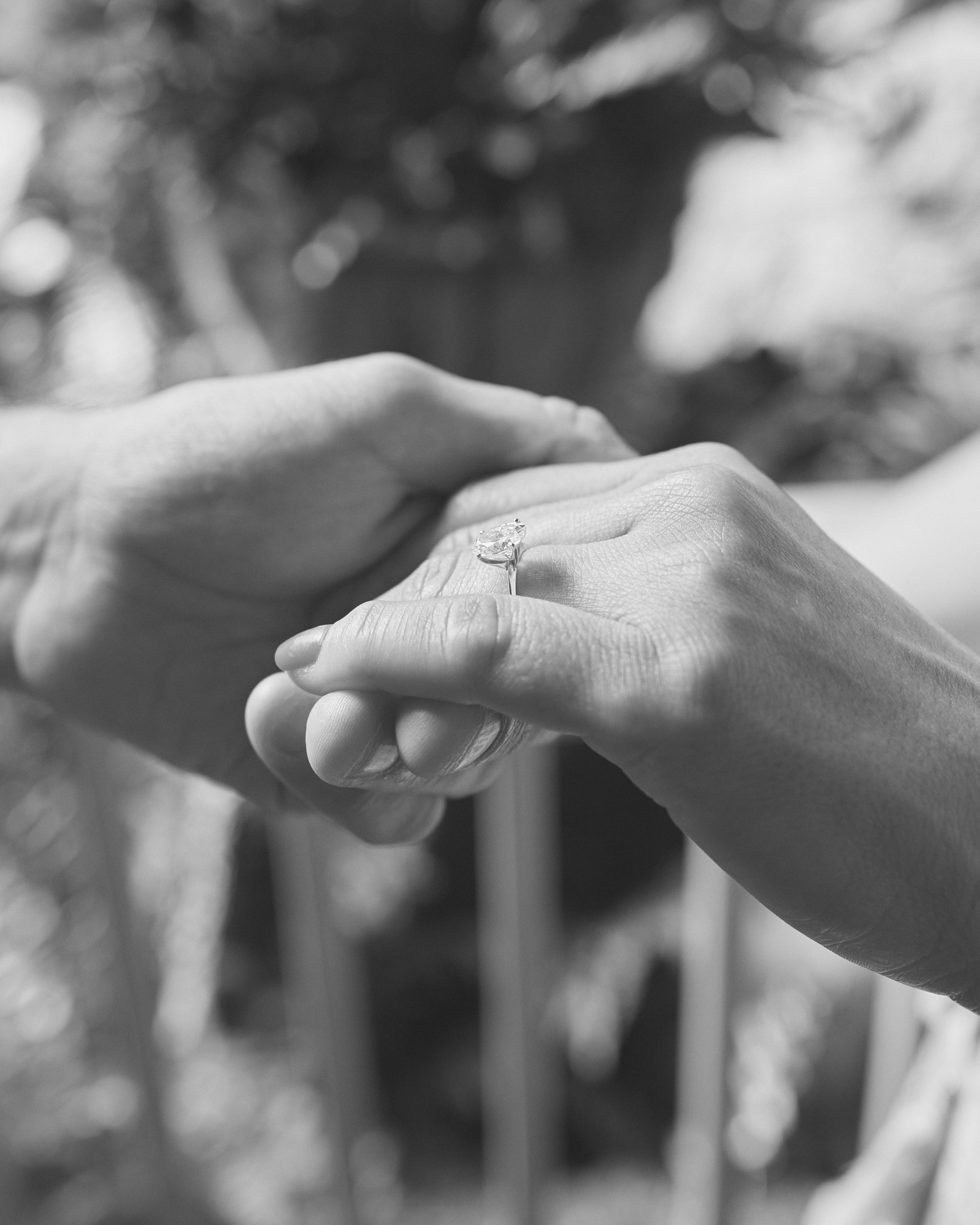 Franklin Park Conservatory Proposal | Columbus Ohio Photographer