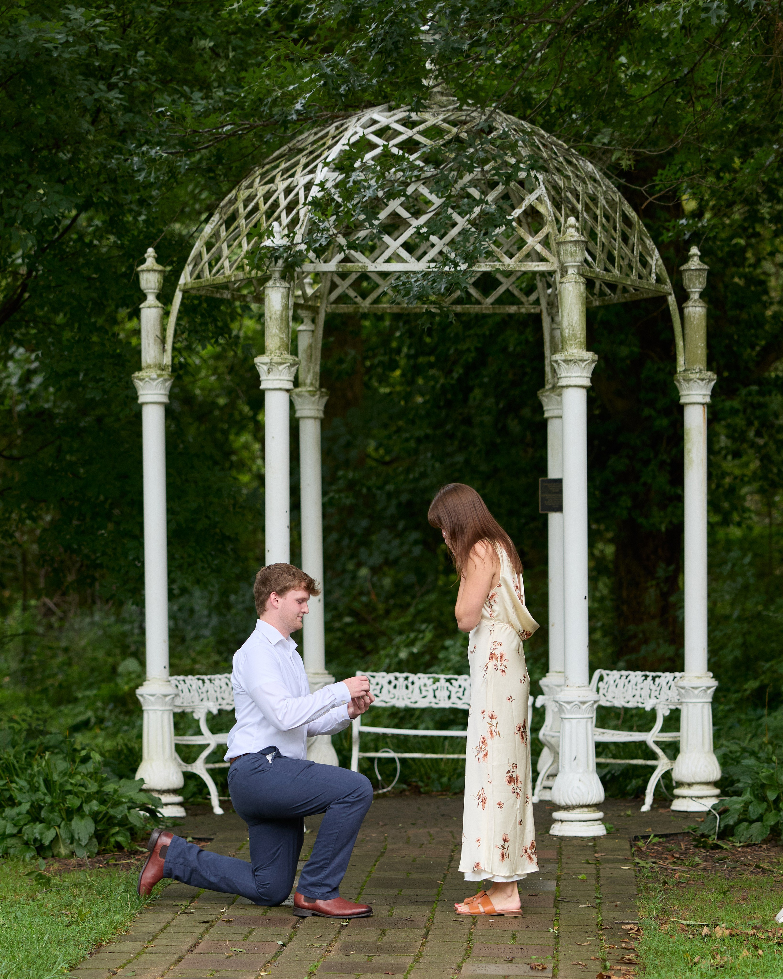 Marriage proposal under a white gazebo surrounded by roses in Columbus, Ohio