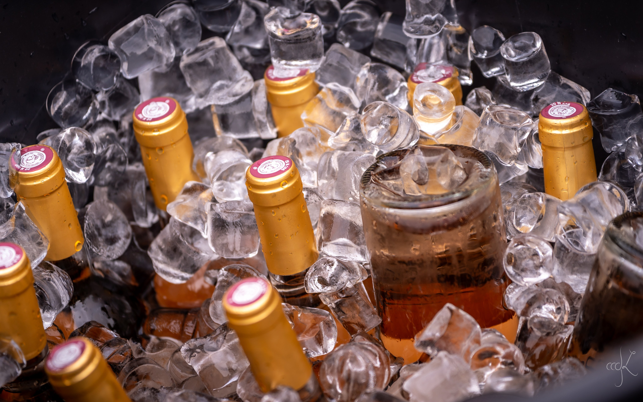 FLOWTIME: the 6th Cargèse summer school. Expect Miracles Photography by Kate & Andrew