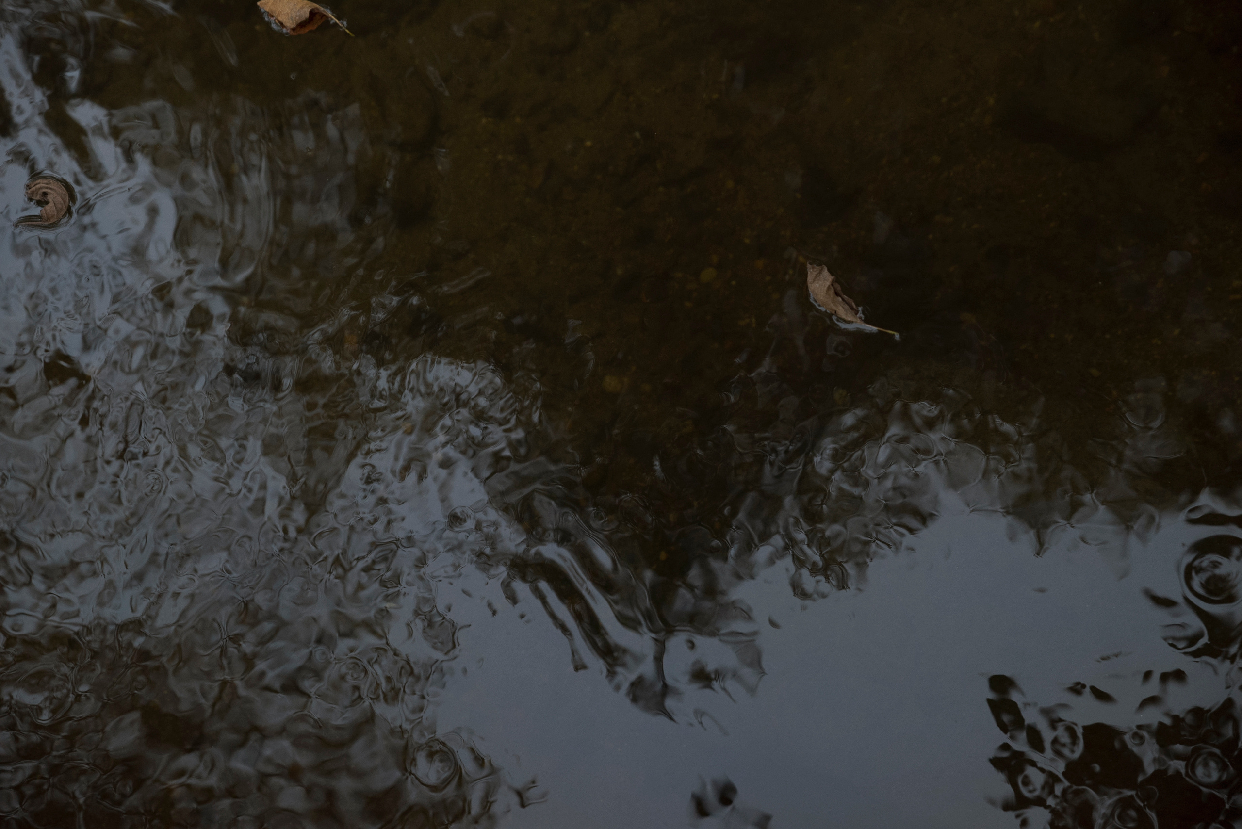 MOTHER (in progress). Anastasiia Antoniuk portrait, family and couple photographer, Portugal