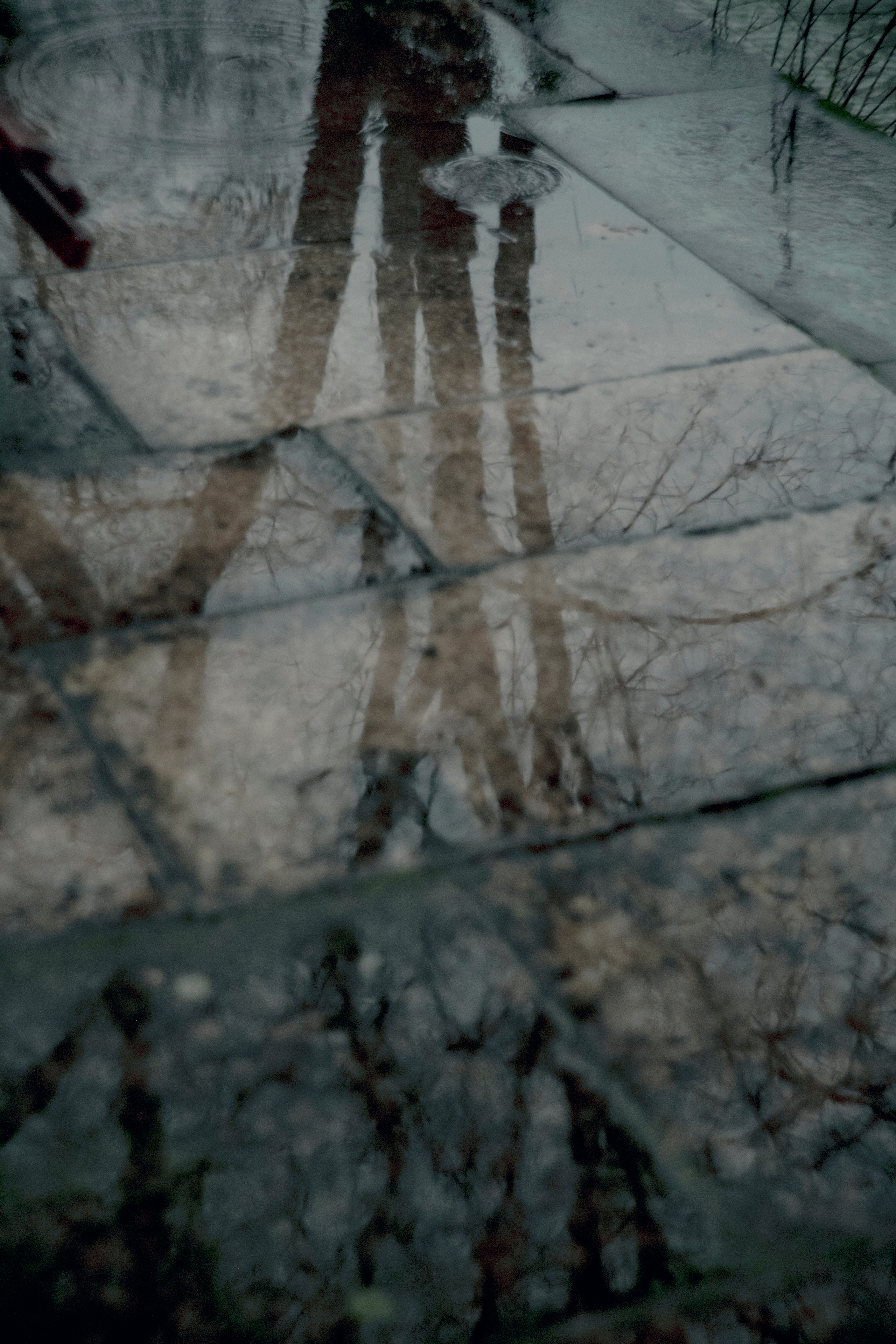 MOTHER (in progress). Anastasiia Antoniuk portrait, family and couple photographer, Portugal