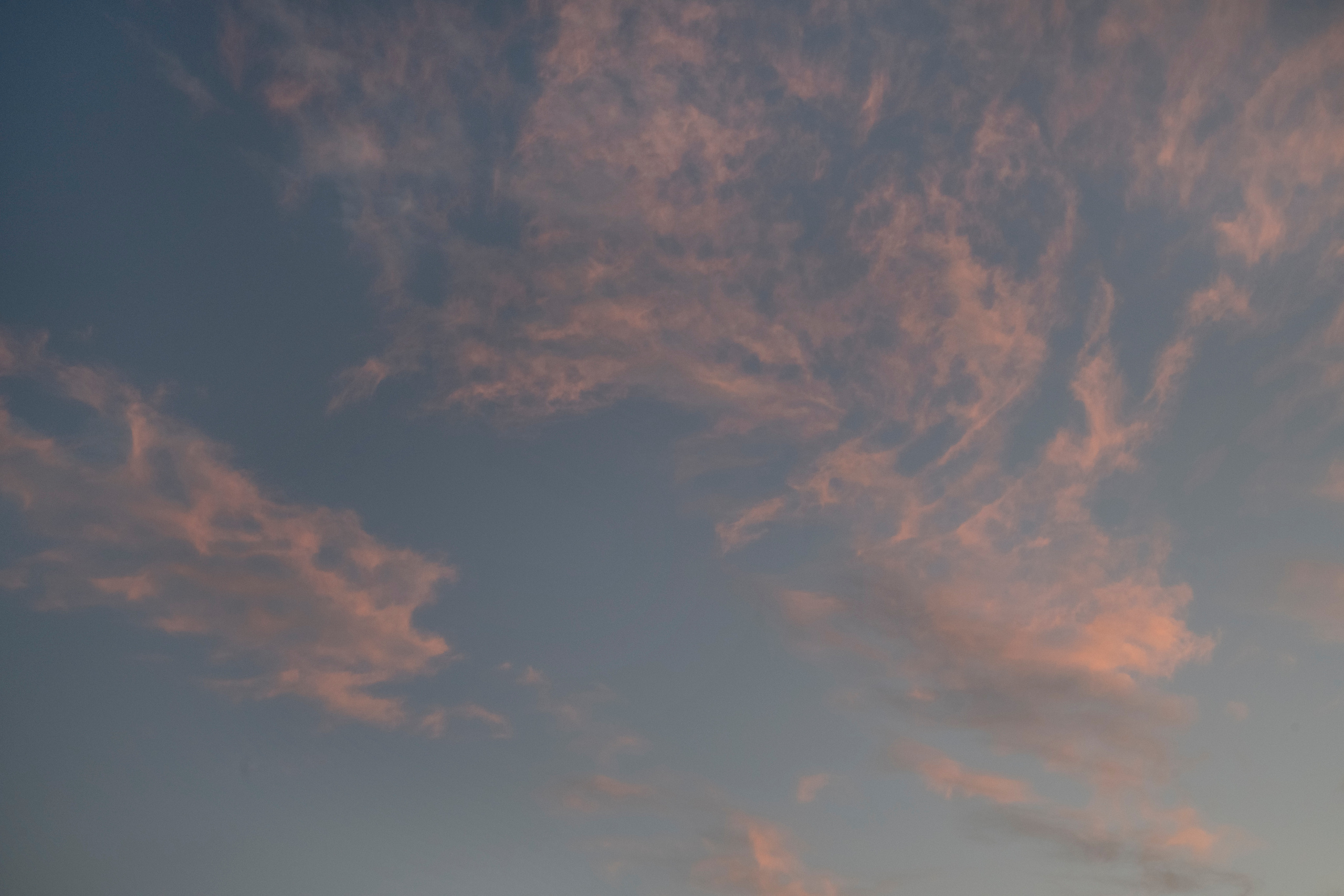 MOTHER (in progress). Anastasiia Antoniuk portrait, family and couple photographer, Portugal