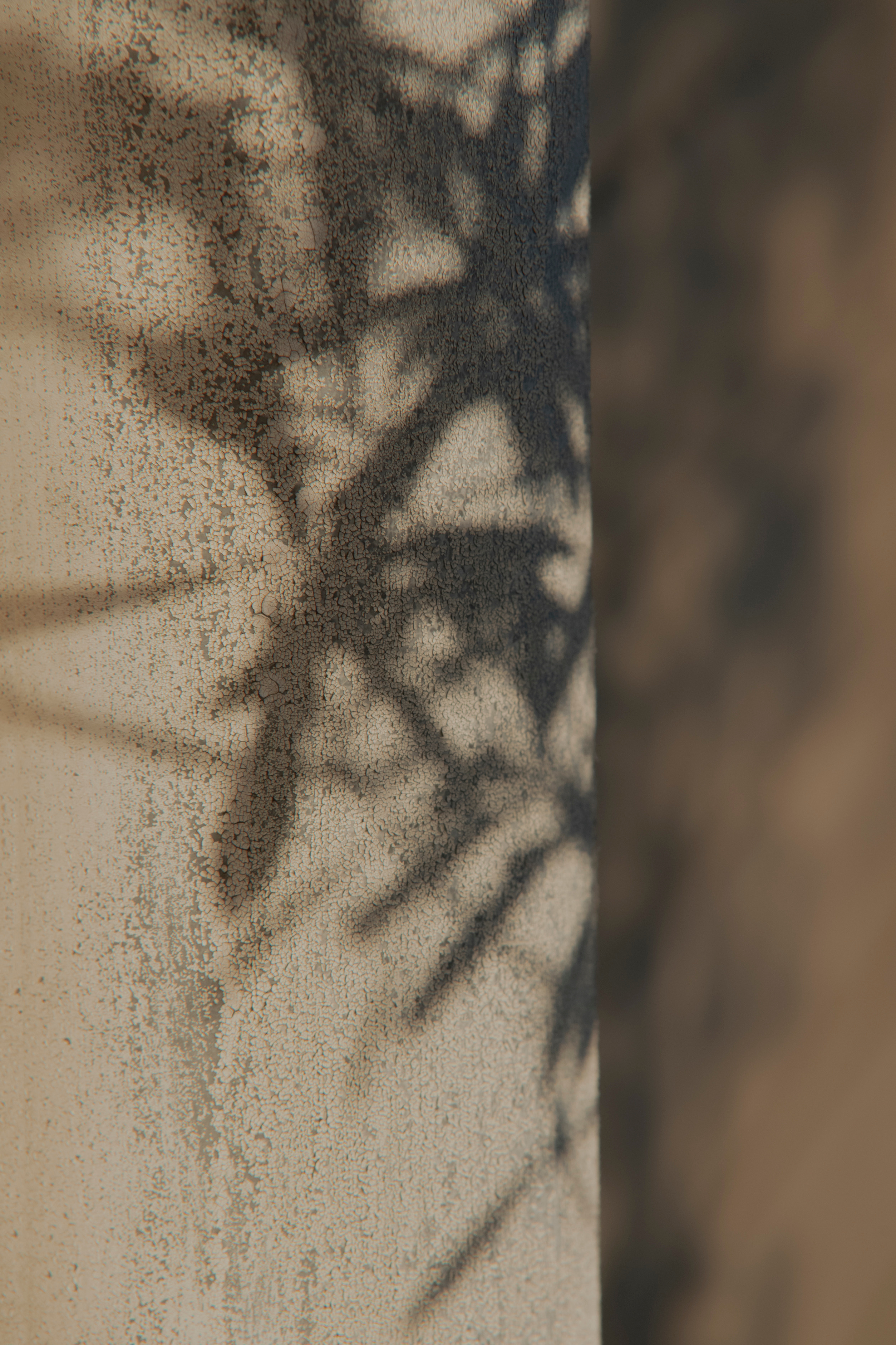 MOTHER (in progress). Anastasiia Antoniuk portrait, family and couple photographer, Portugal